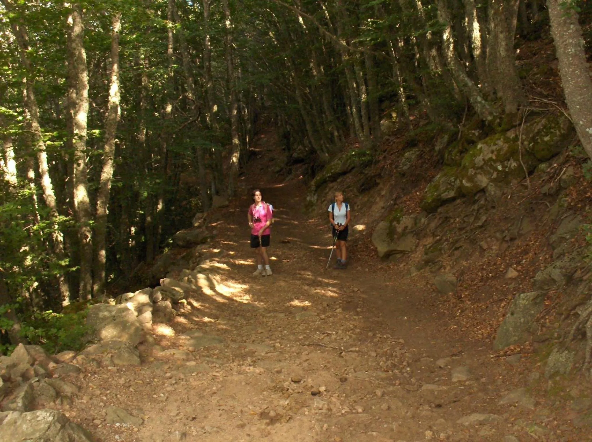 Hotel Paradiso Delle Madonie