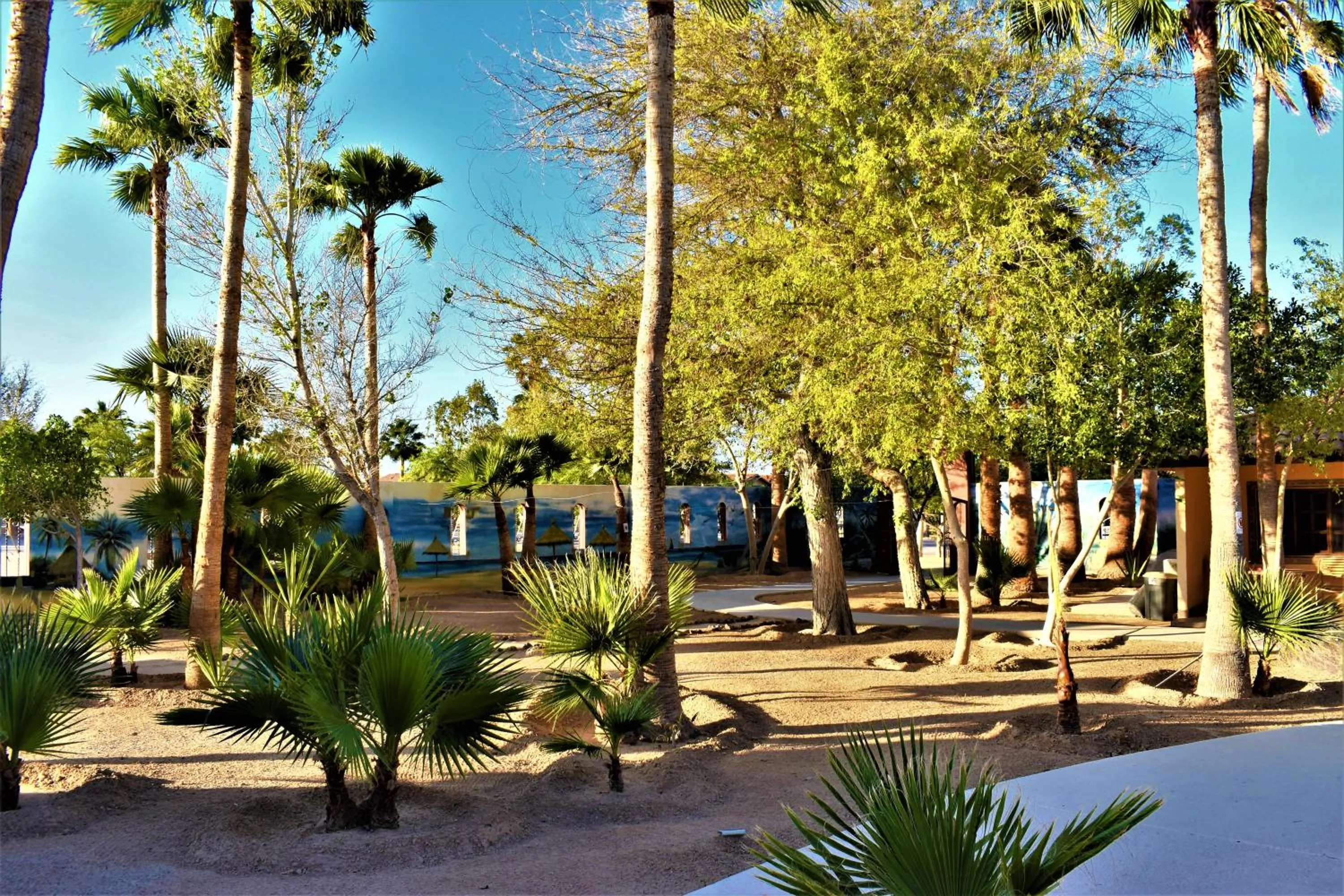 Natural landscape in HACIENDA MONARCAS Resort