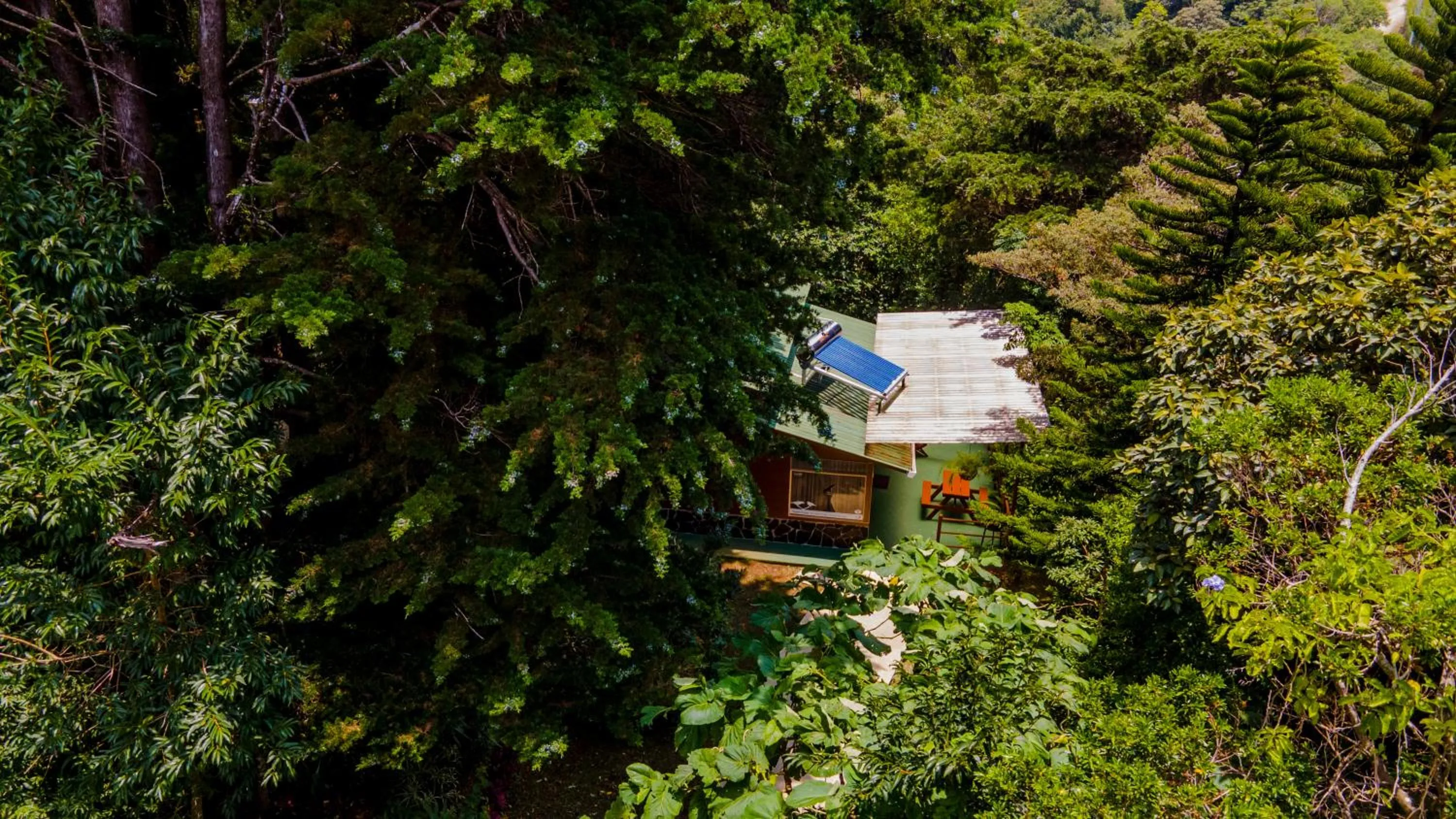 Spring in Los Pinos Cabins & Reserve