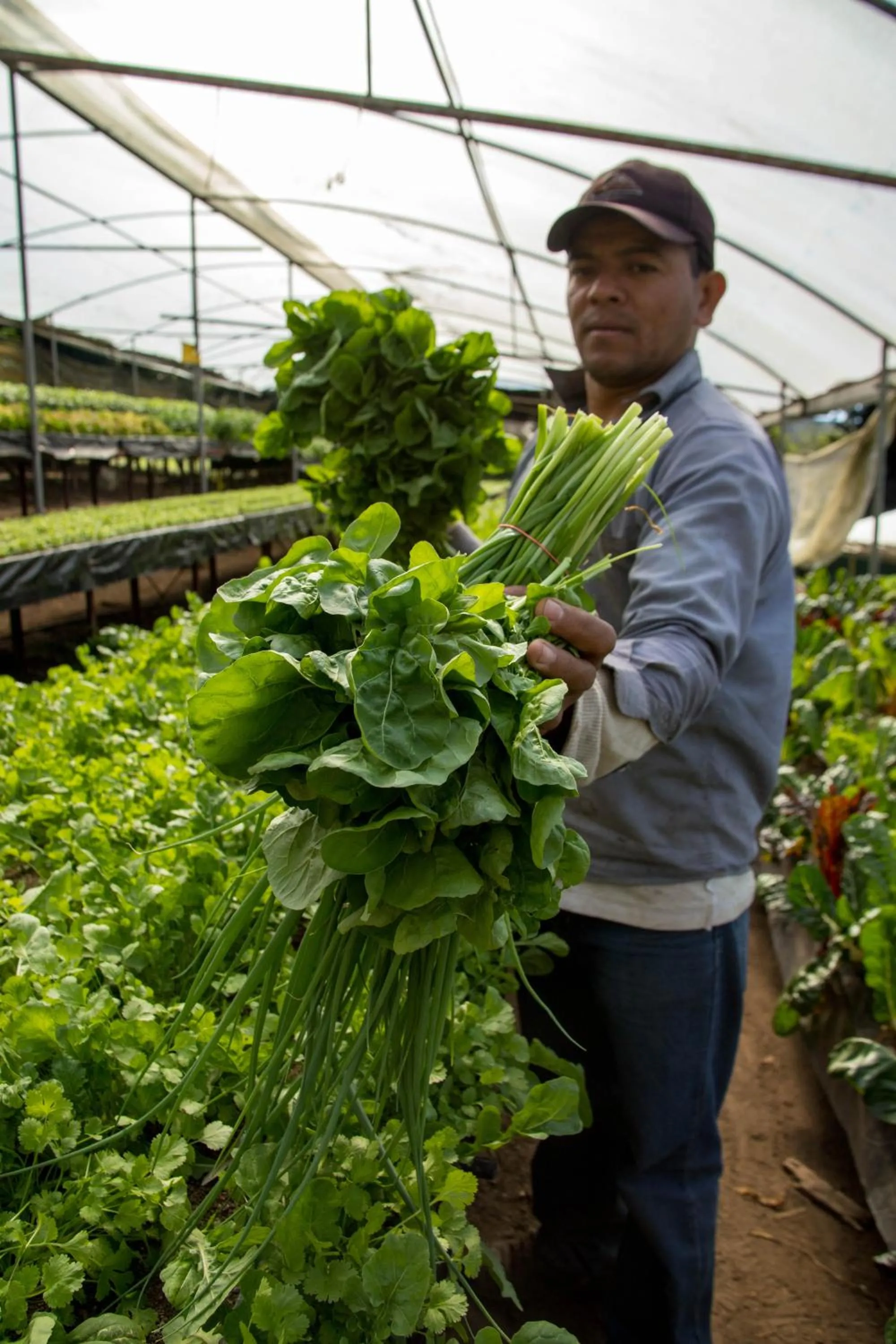 Area and facilities in Los Pinos Cabins & Reserve