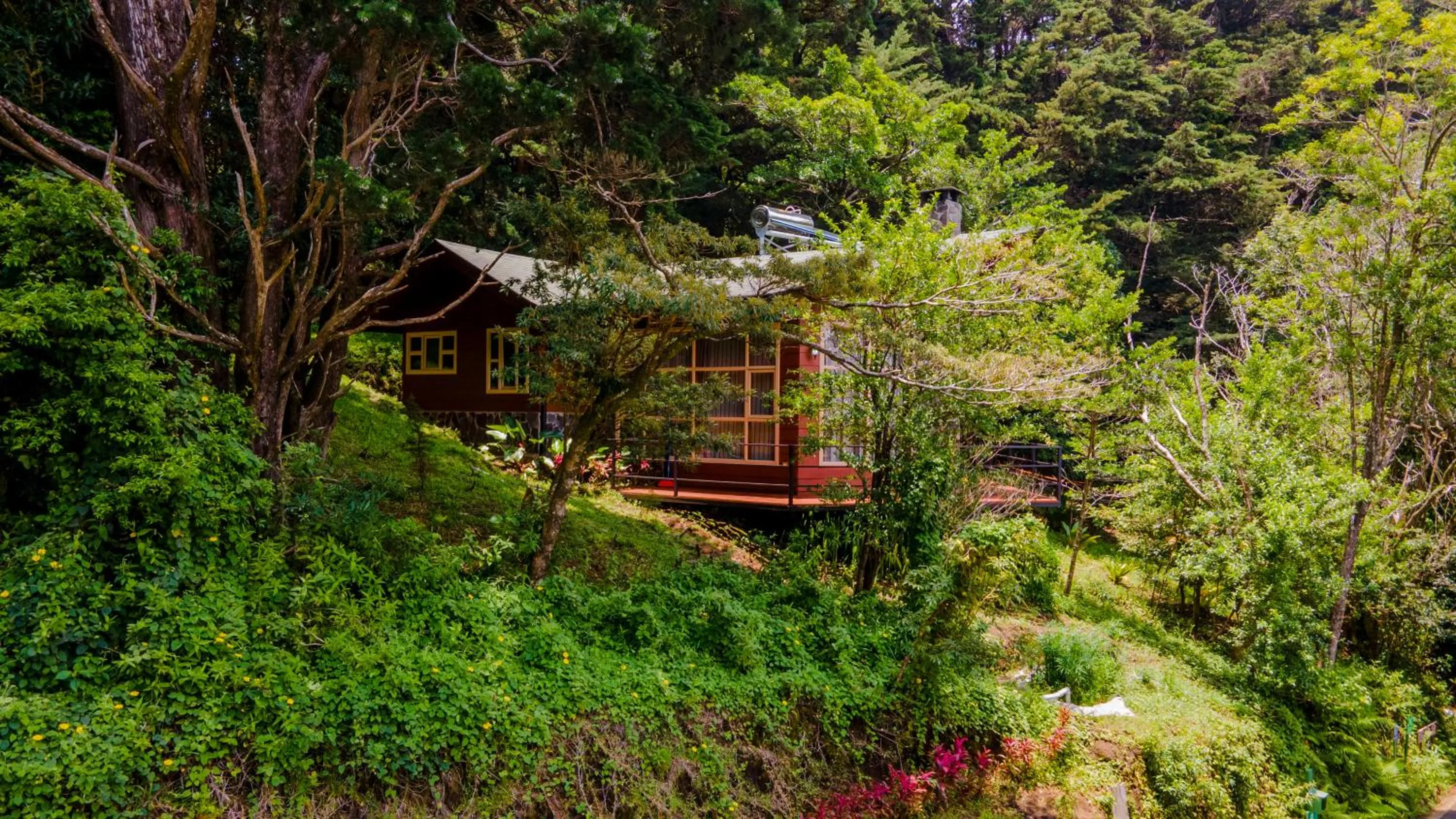 Spring in Los Pinos Cabins & Reserve