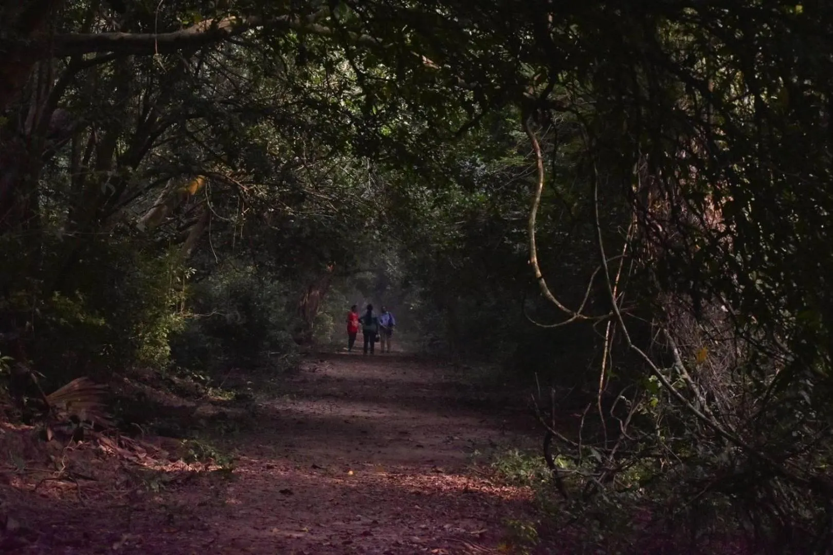 Kanikasundari Home Stay