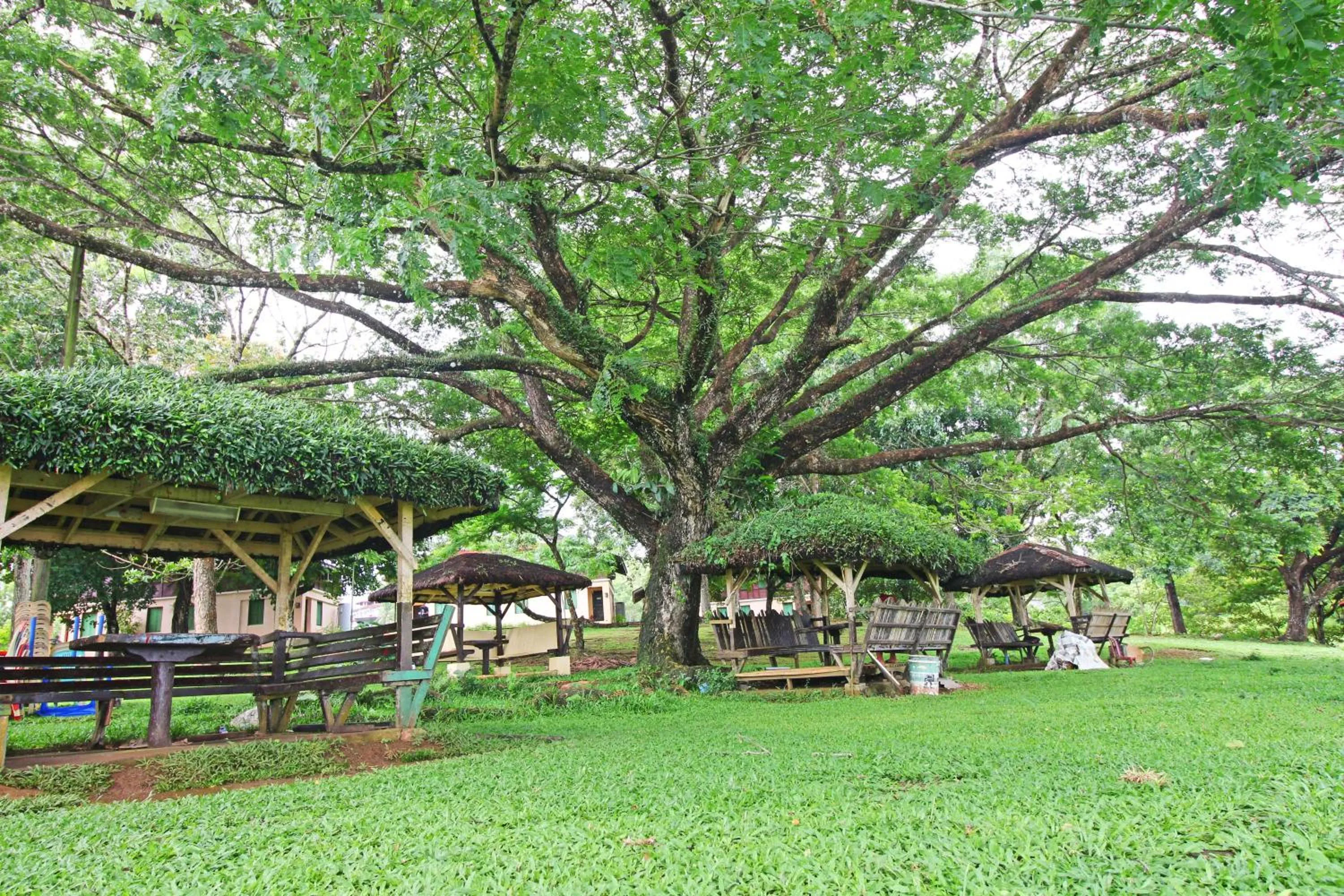 Natural landscape in Caliraya Resort Club
