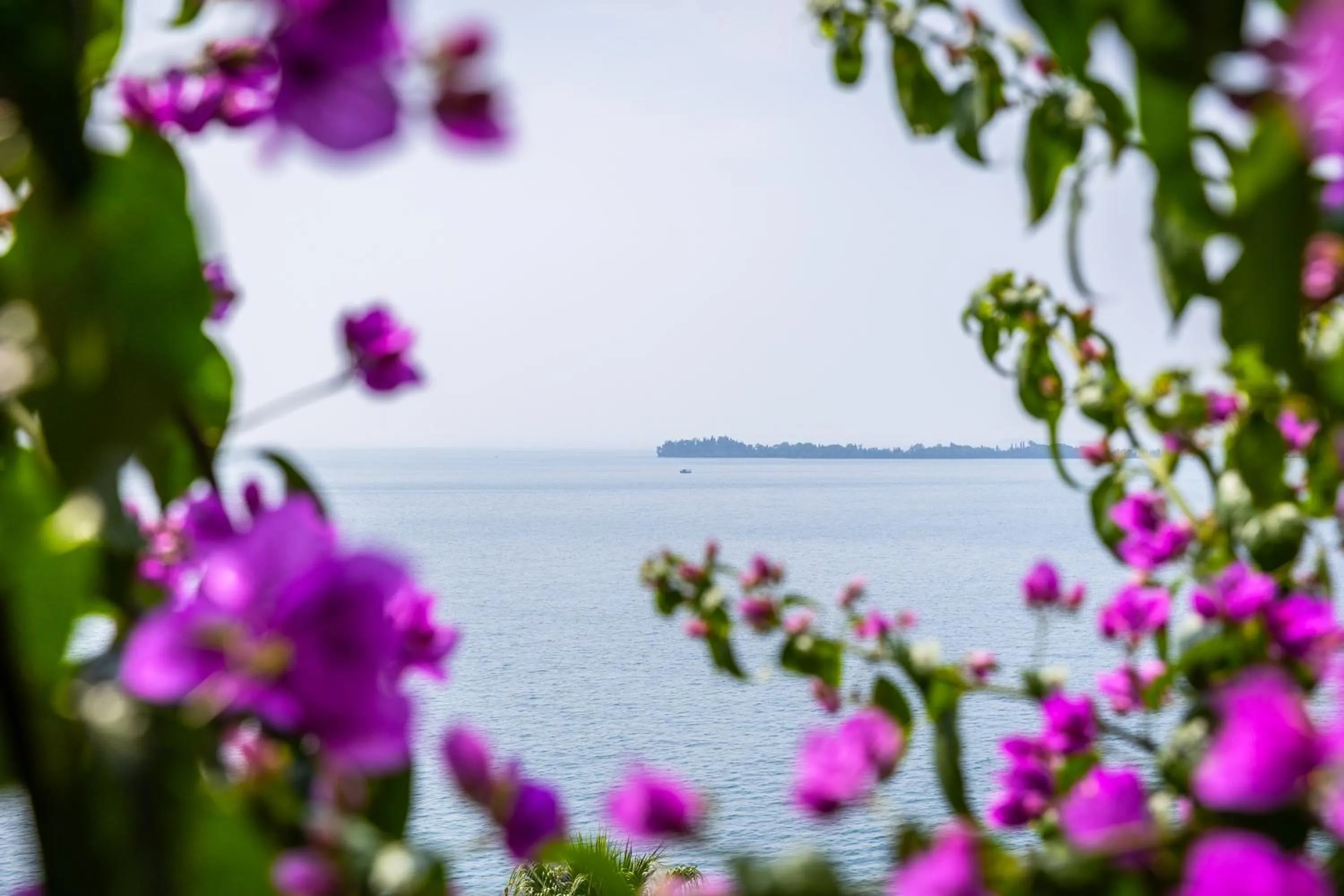 View (from property/room) in Hotel Villa Florida & Suite Apartments