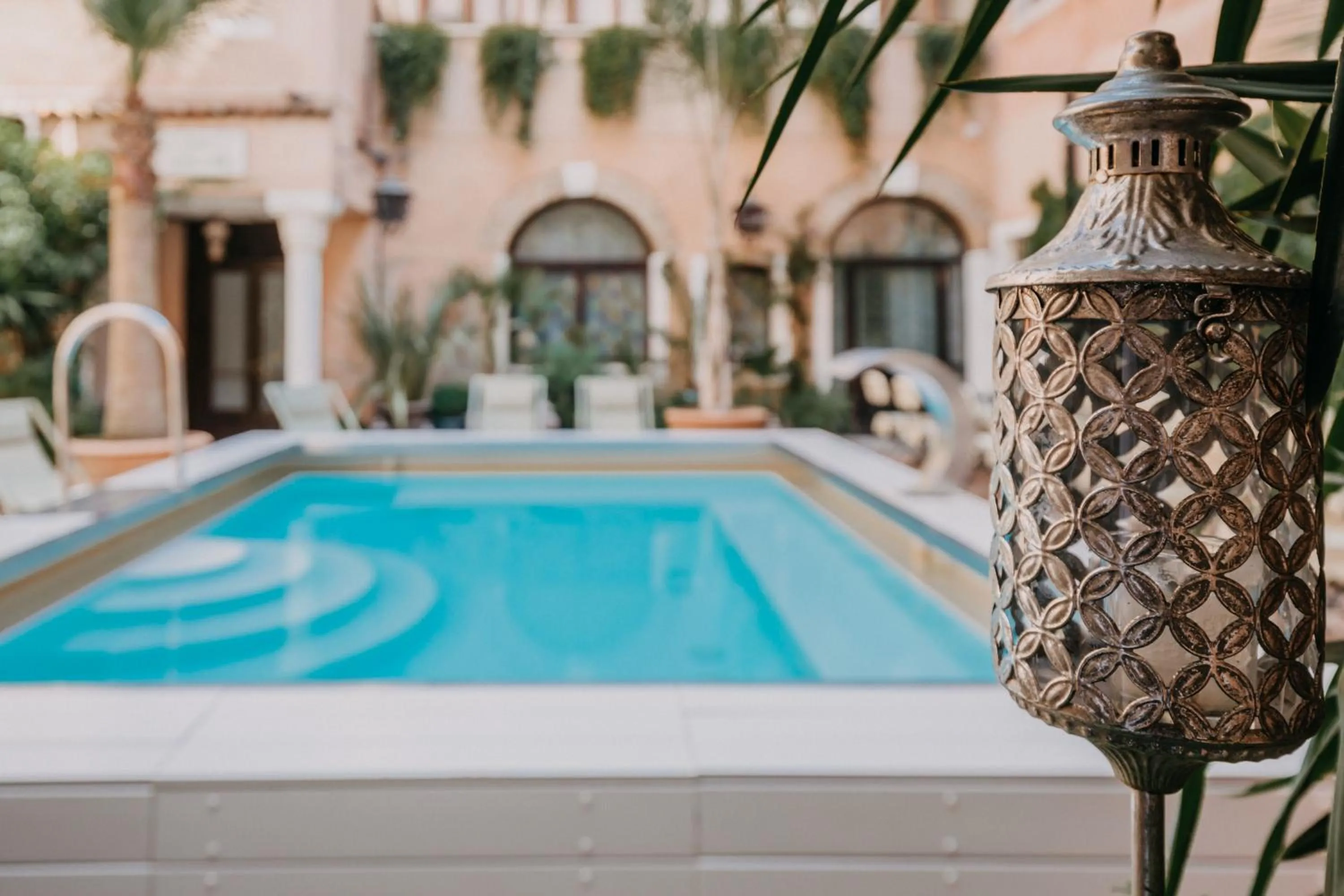 Garden in Hotel Giorgione