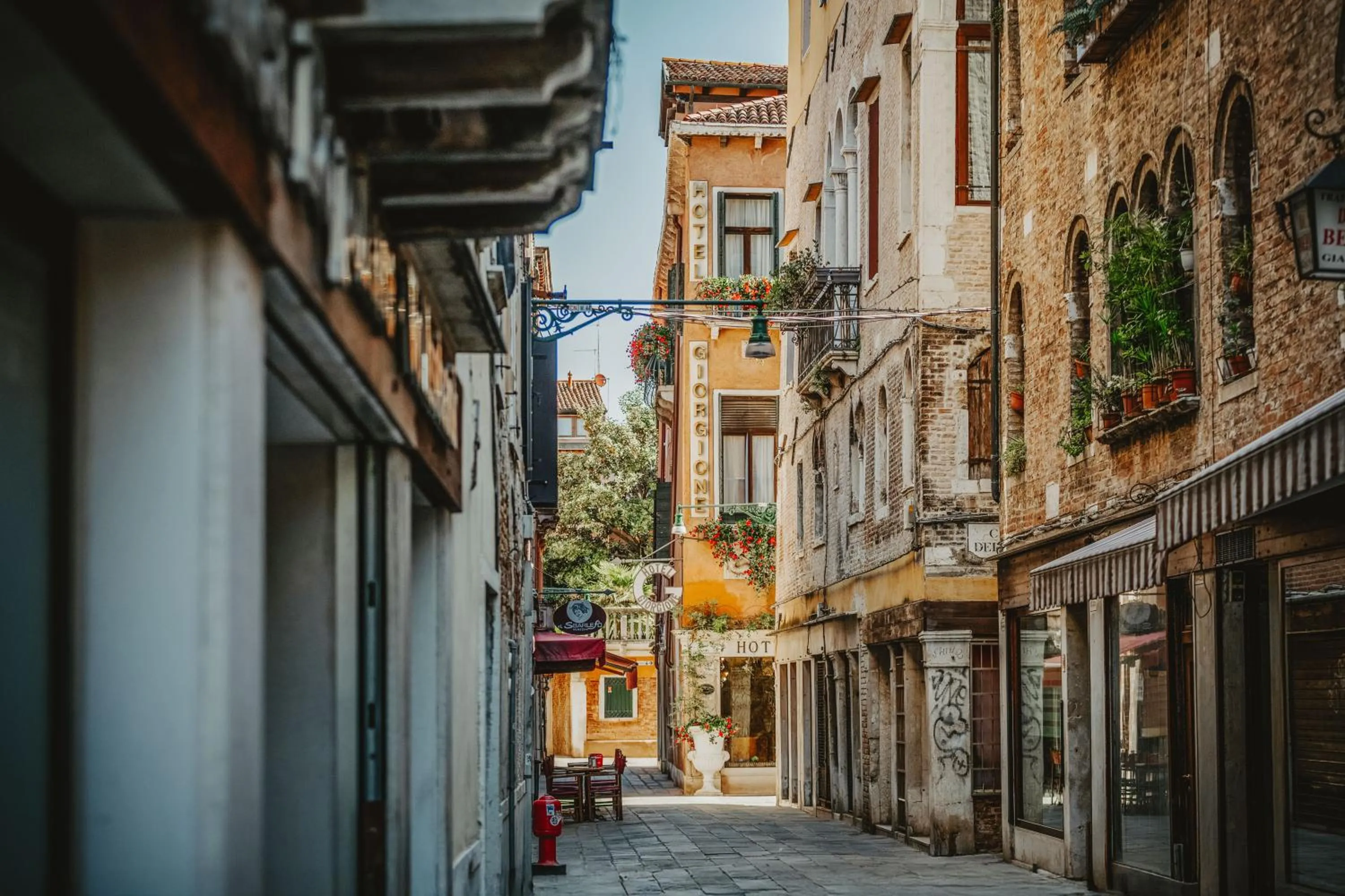 Area and facilities in Hotel Giorgione