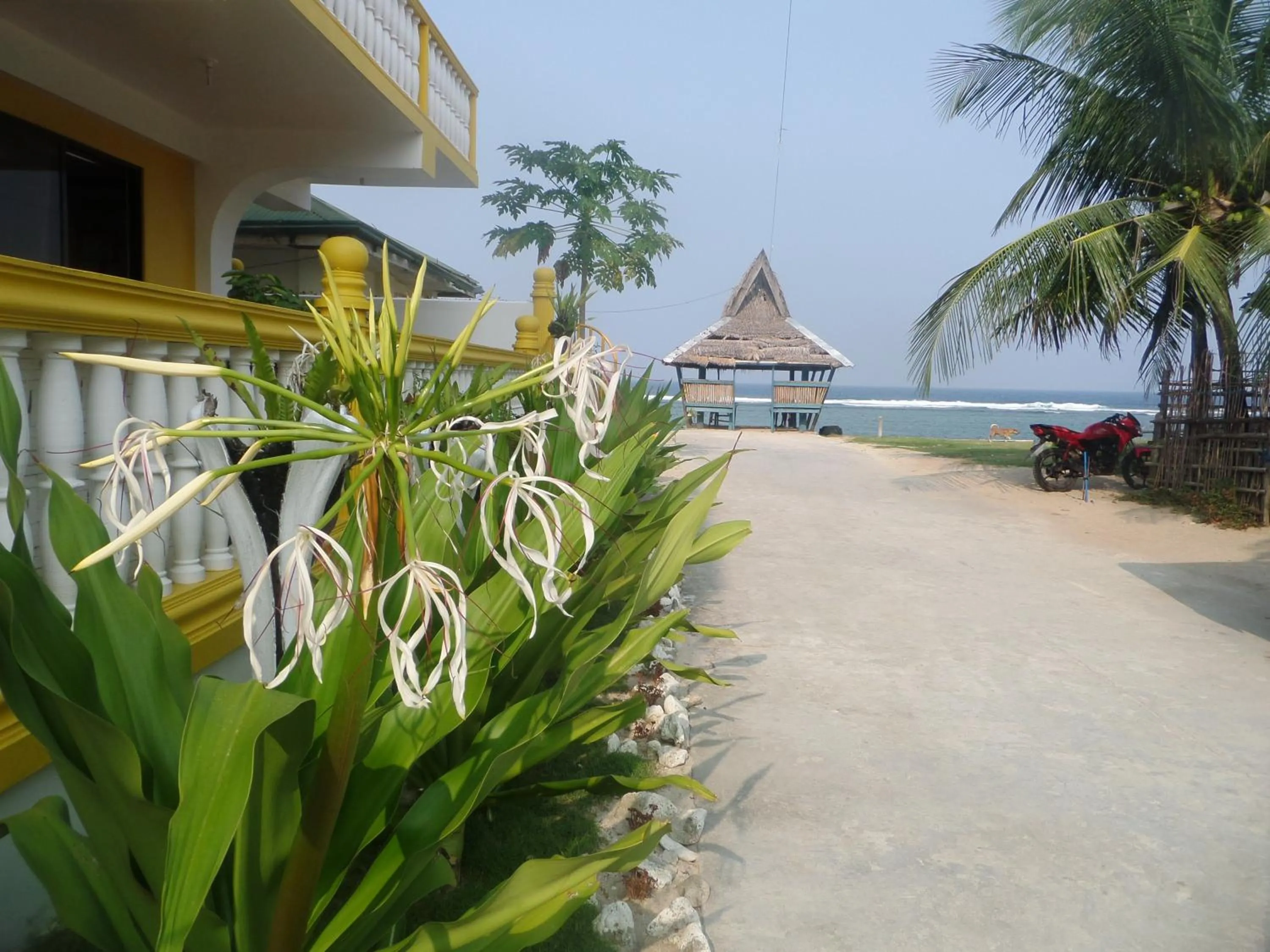 Decorative detail in Sailfishbay Surf And Big Game Fishing Lodge