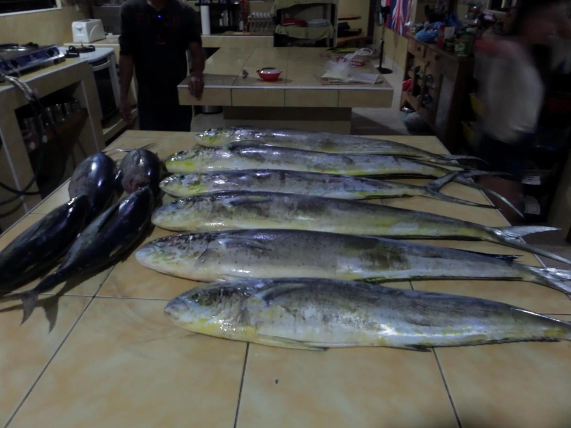 Food close-up in Sailfishbay Surf And Big Game Fishing Lodge