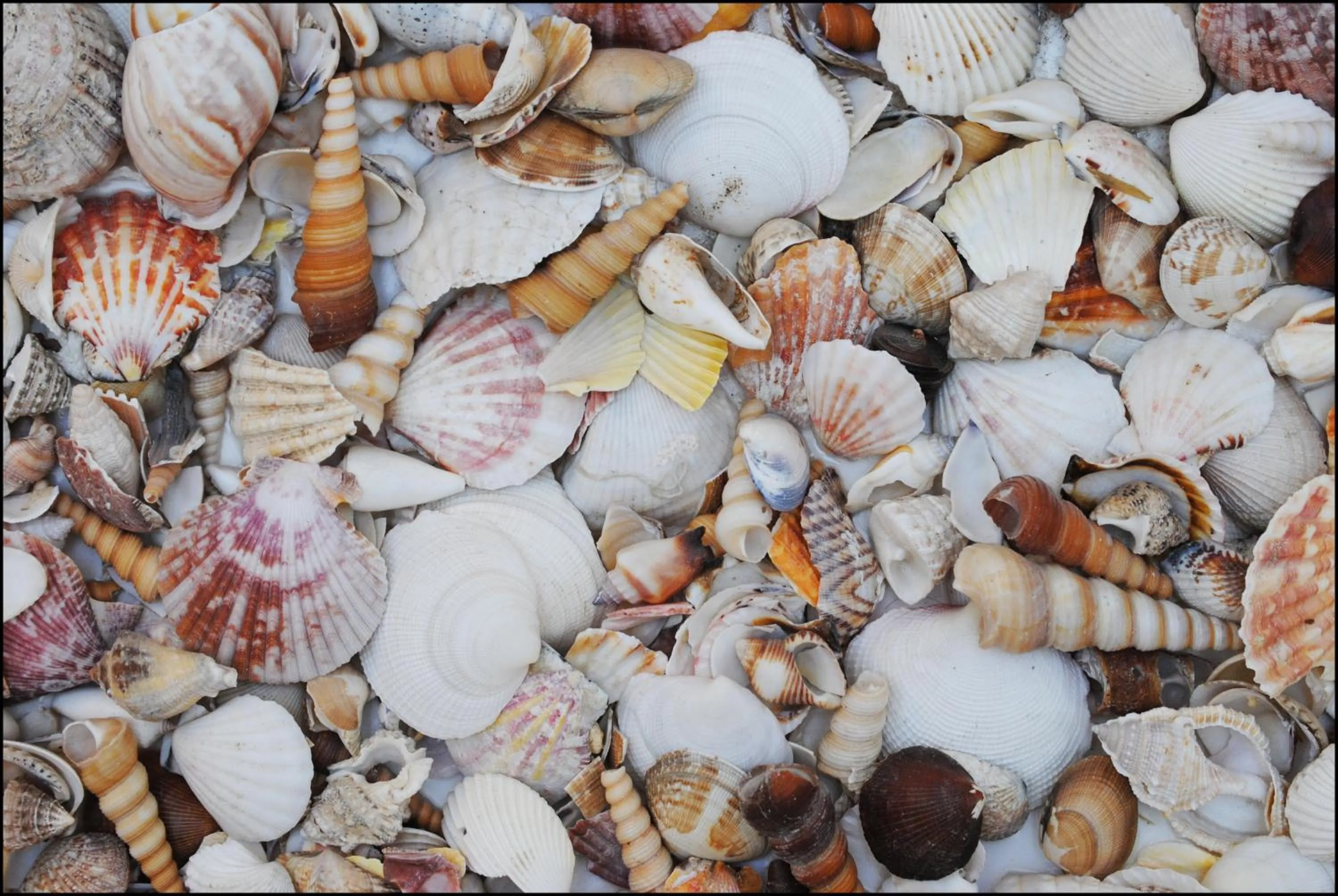 Decorative detail in Hotel Acquamarina