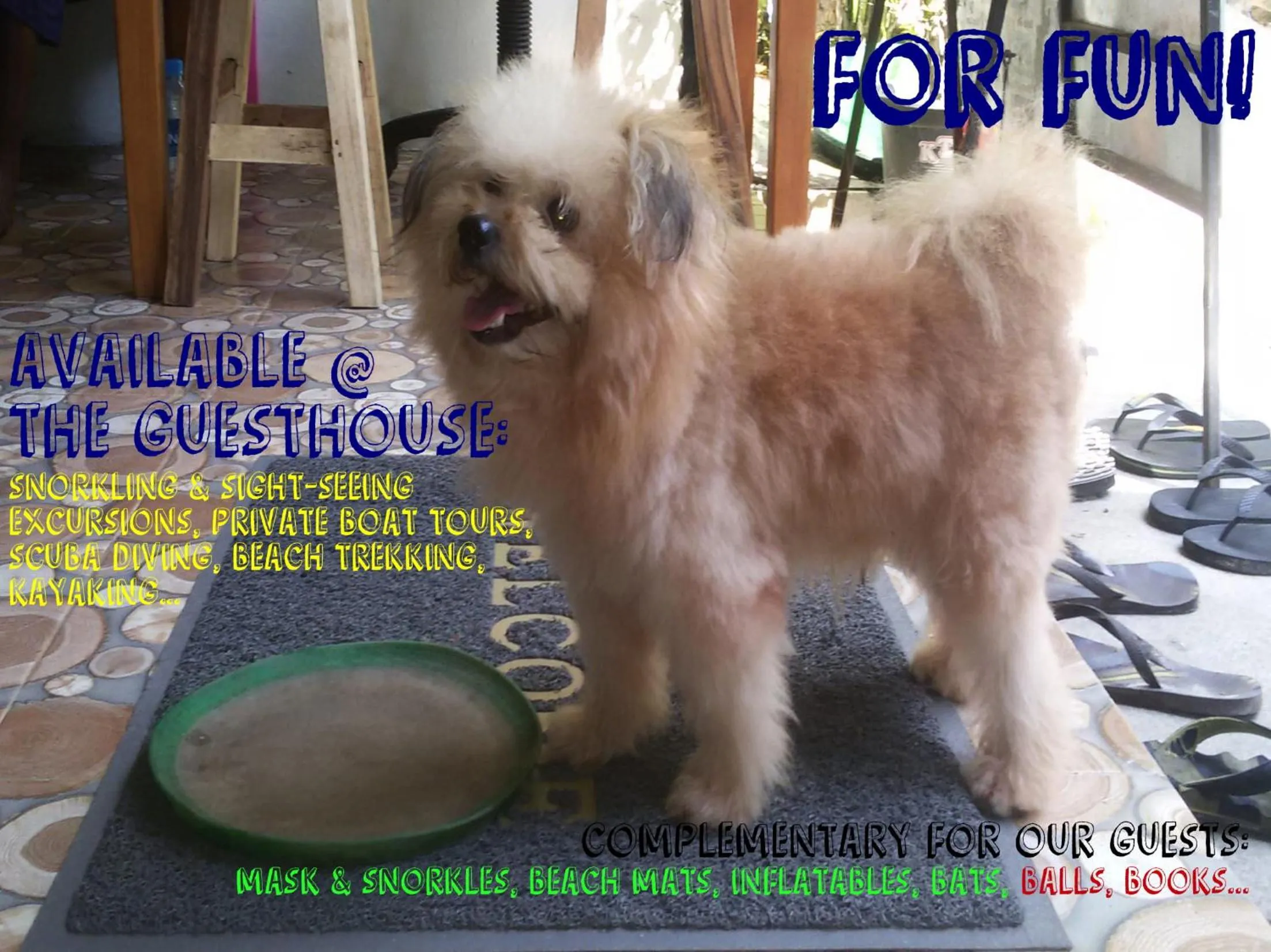 Lobby or reception in Kitty Guesthouse