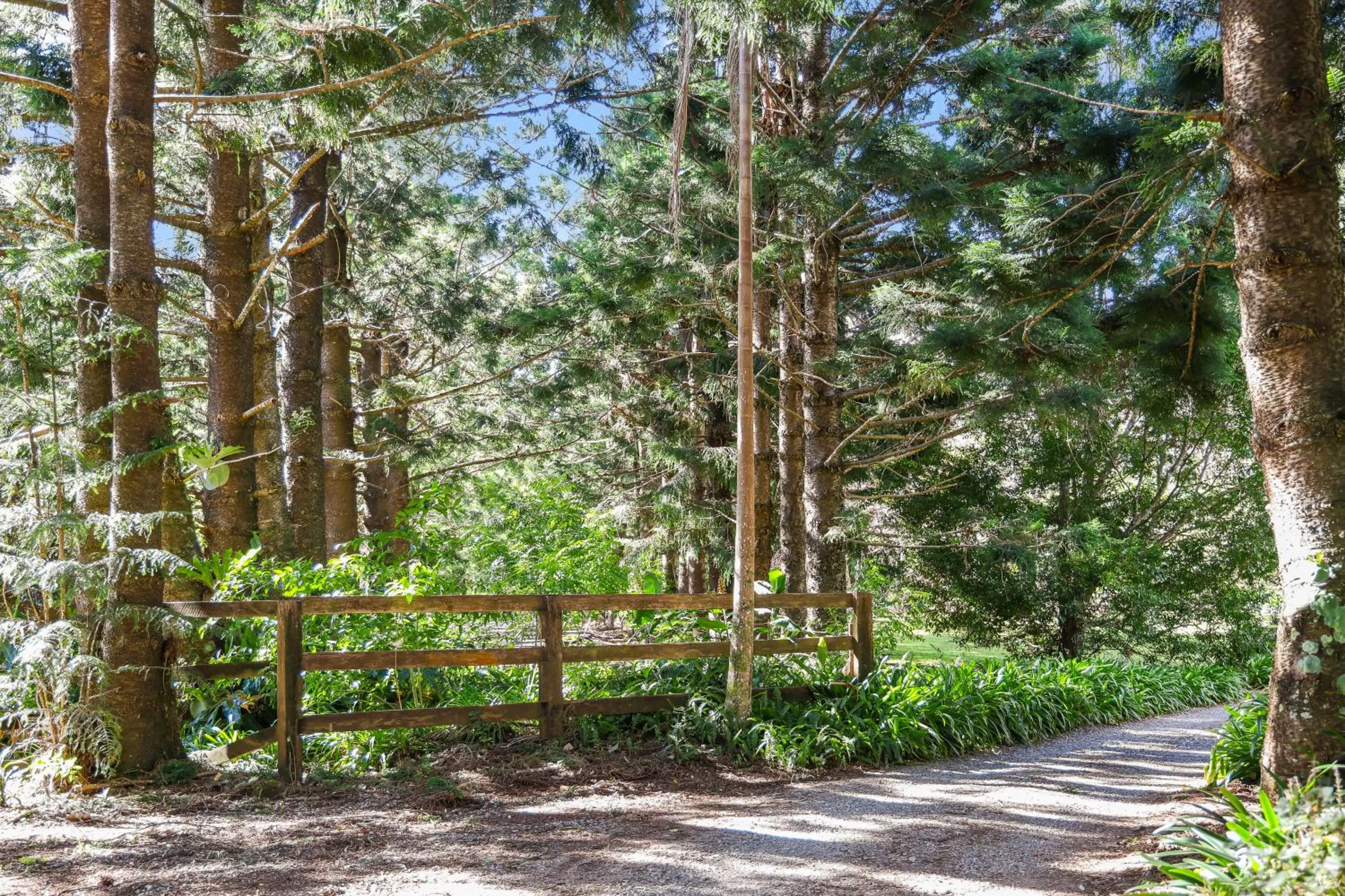 Natural landscape in Montville Country Cabins