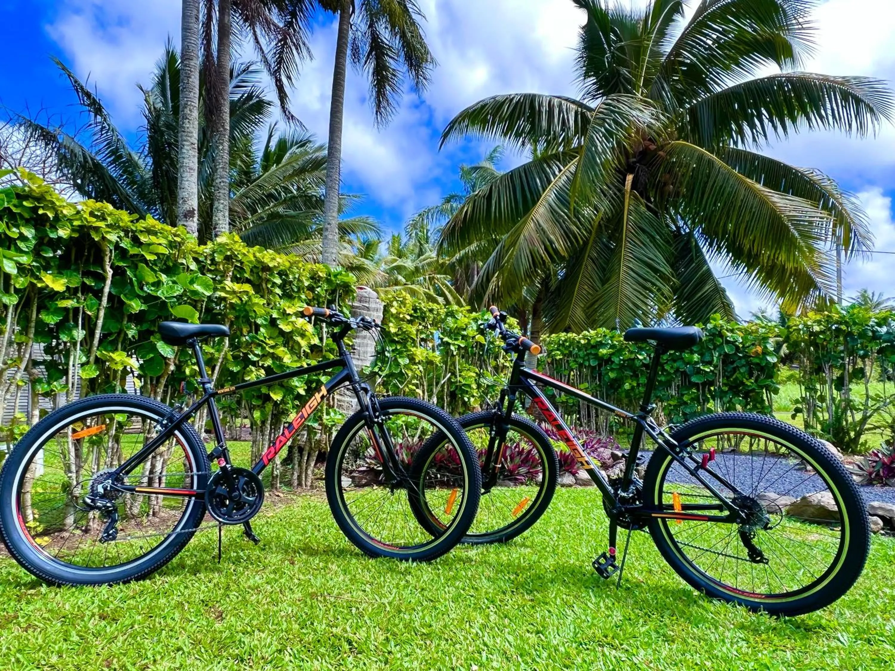 Rarotonga Daydreamer Escape