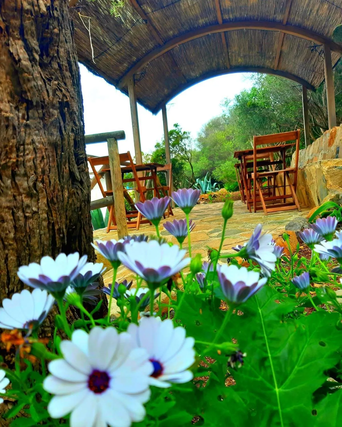 Restaurant/places to eat in Marettimo Residence