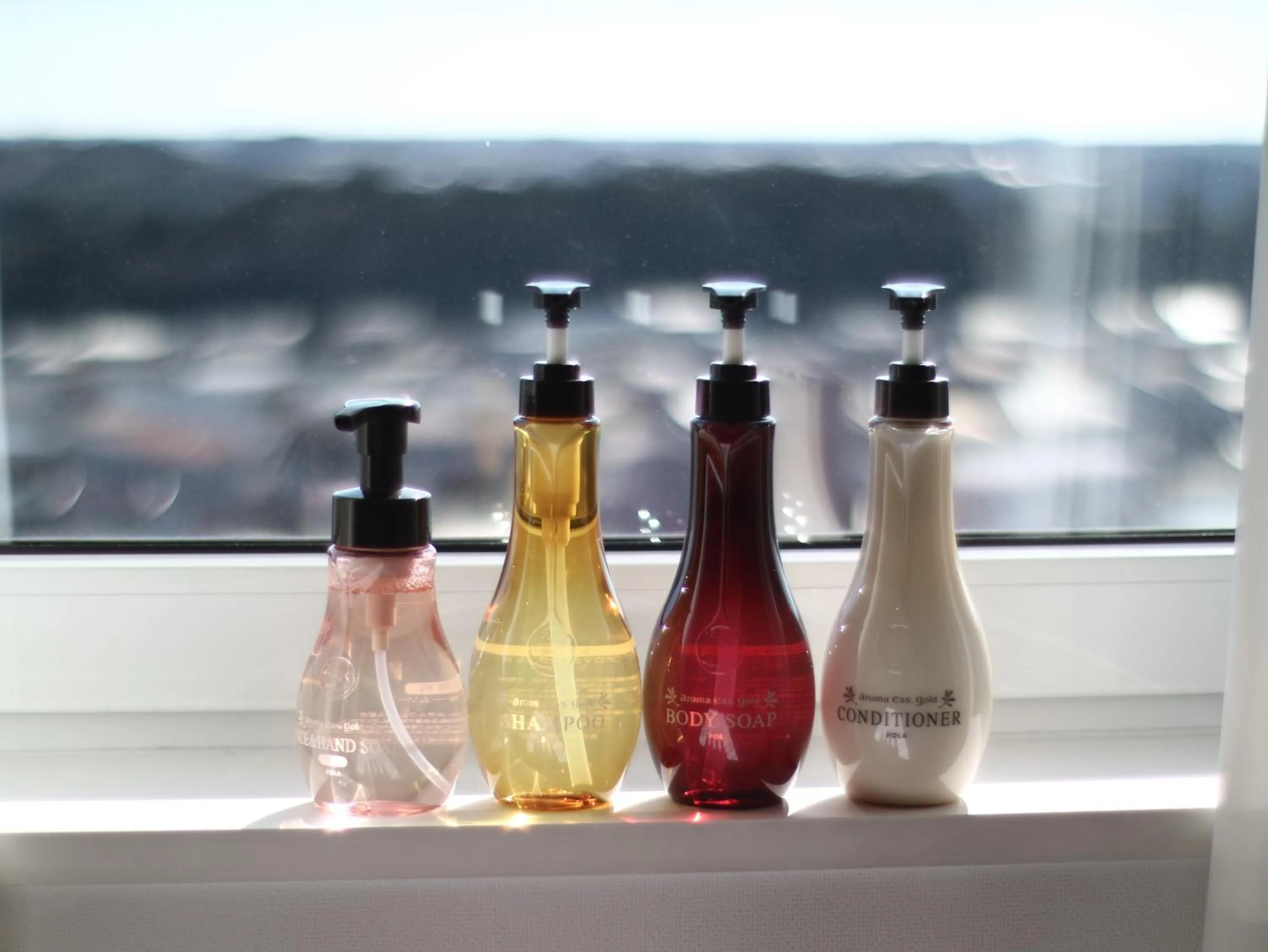 Activities in Hotel The West Hills Mito