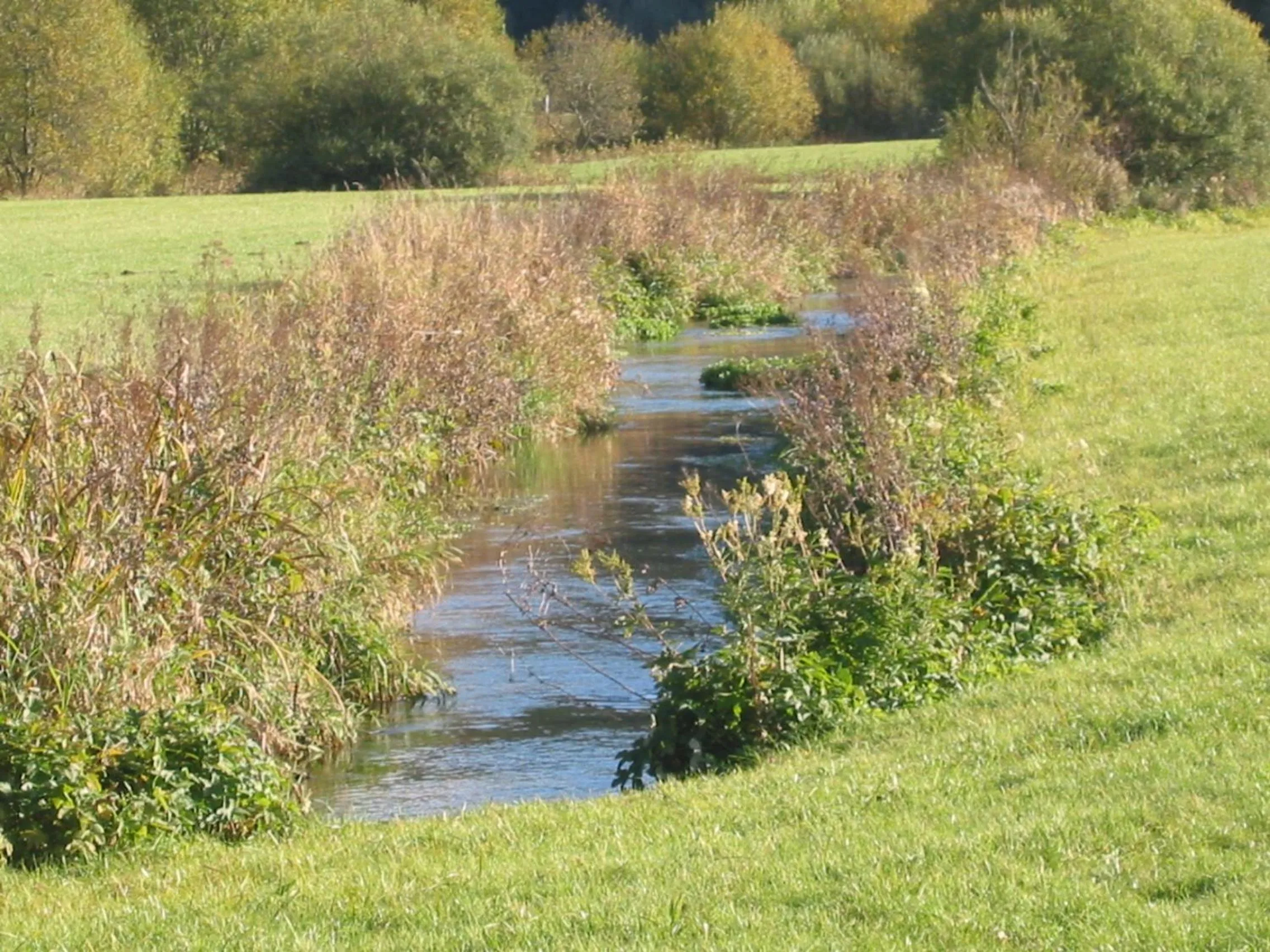 Day in Gasthof zum Lamm