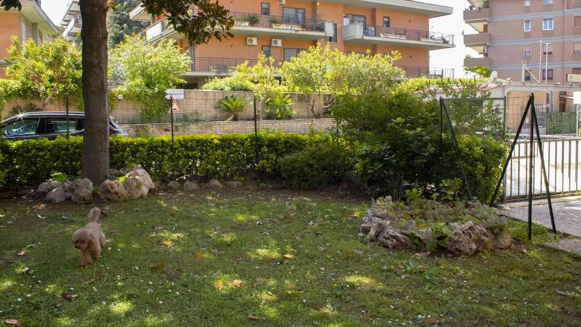 pet friendly in Oasi San Francesco