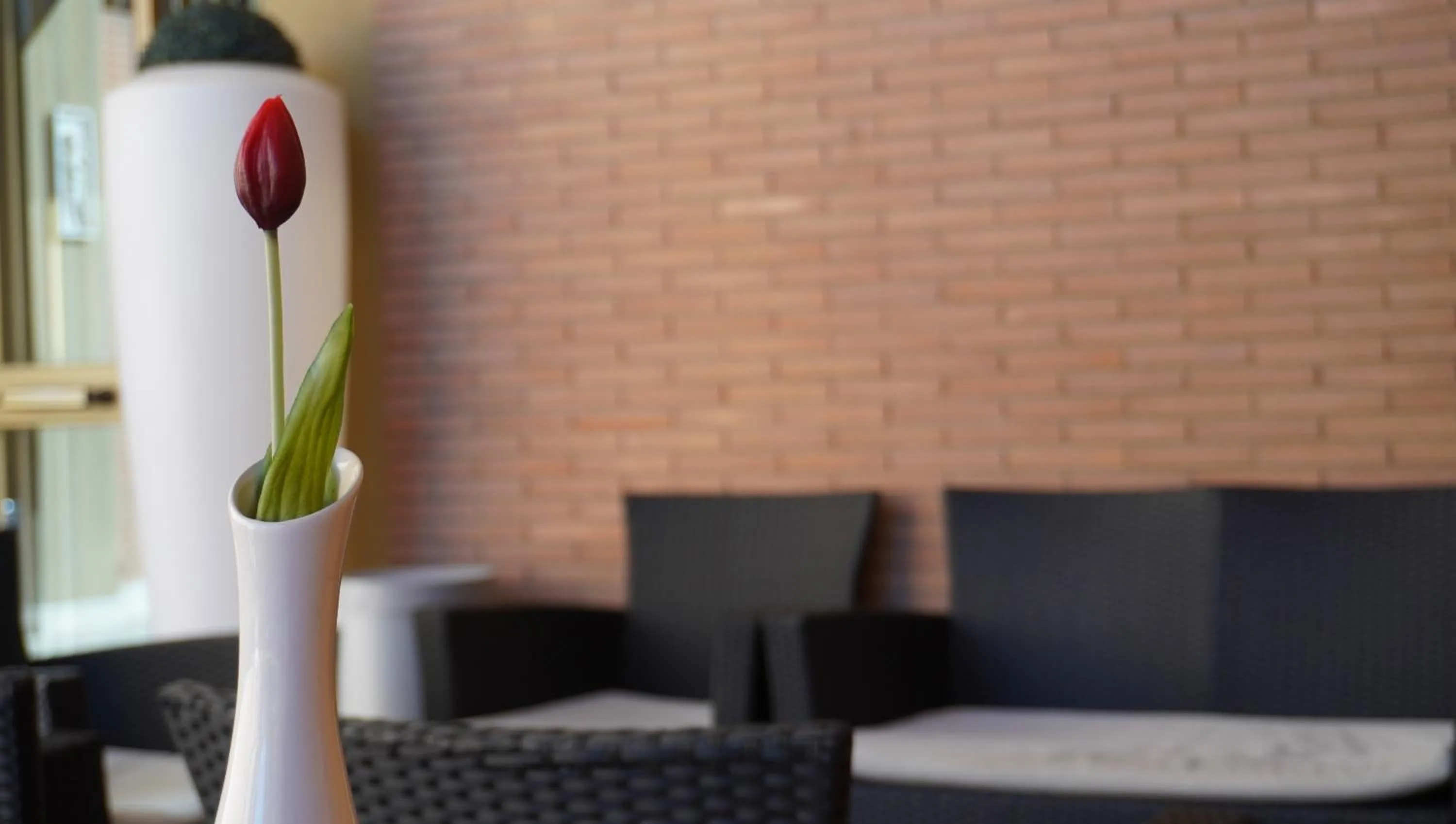 Seating area in Oasi San Francesco