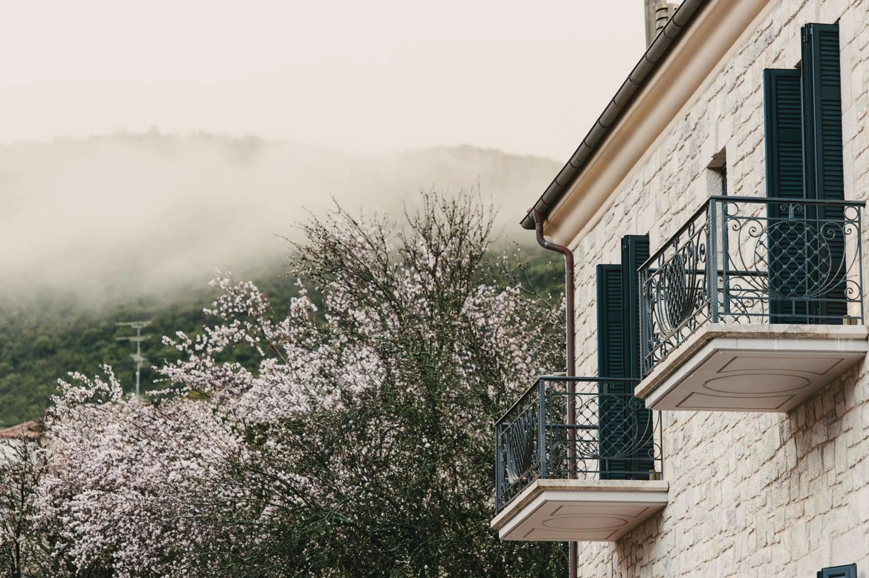 Facade/entrance in Levidi Suites