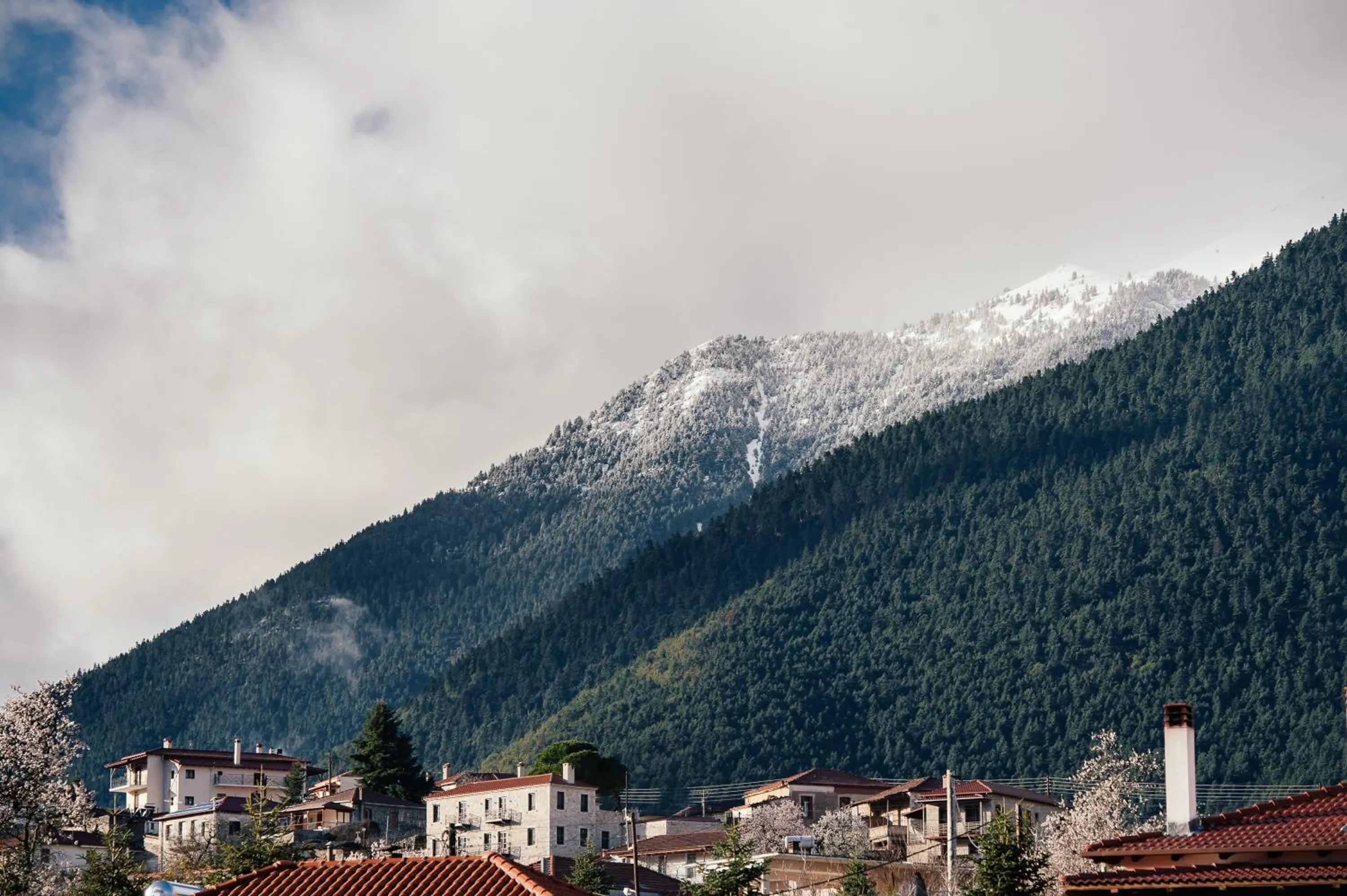 View (from property/room) in Levidi Suites