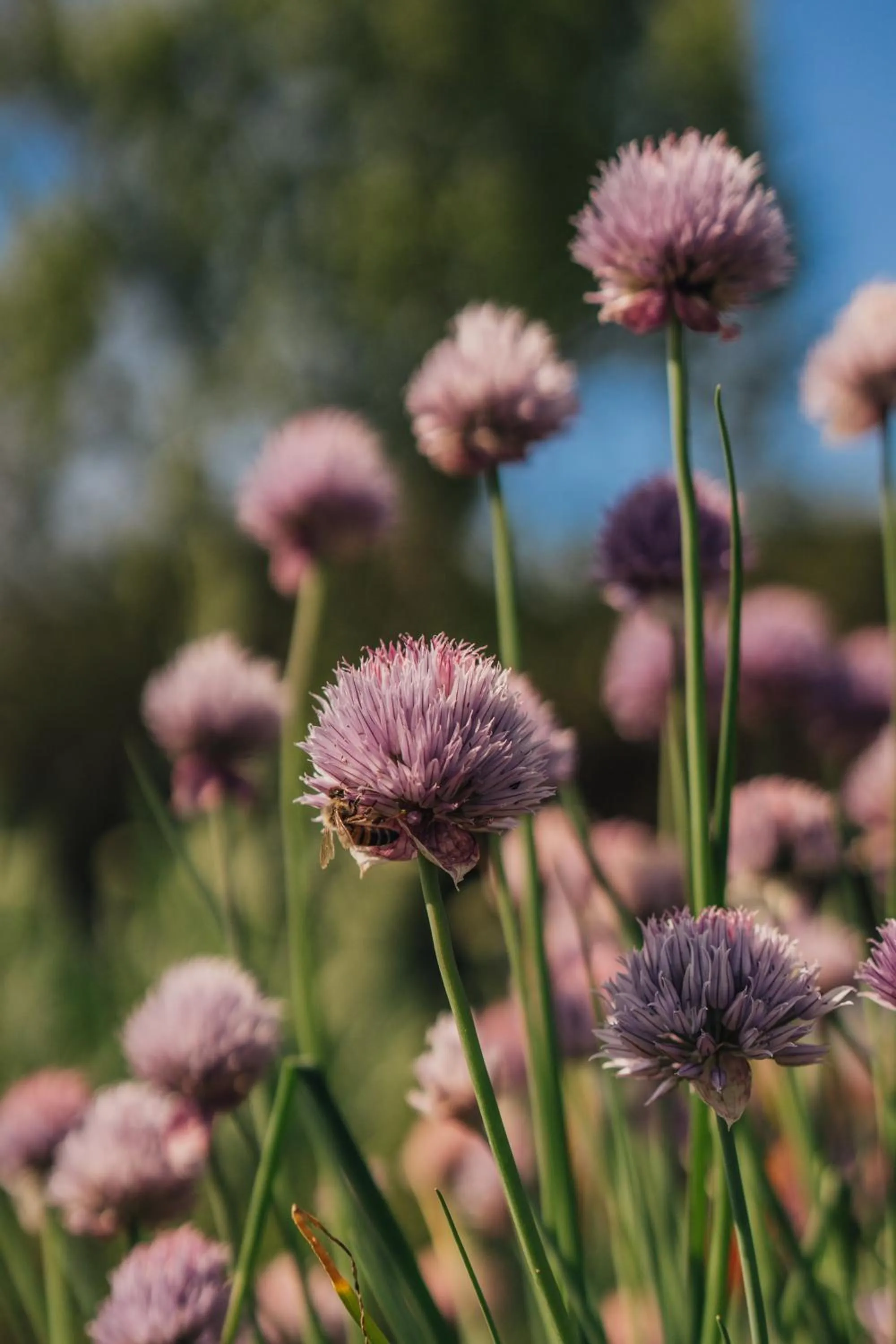 Day in Residenze Di La' Dal Fiume