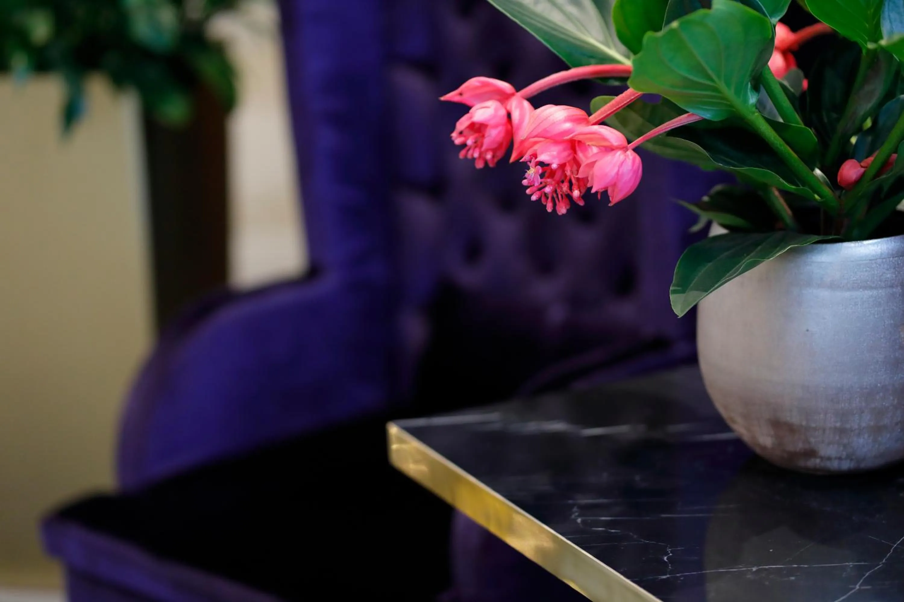 Decorative detail in The Sydney Hotel