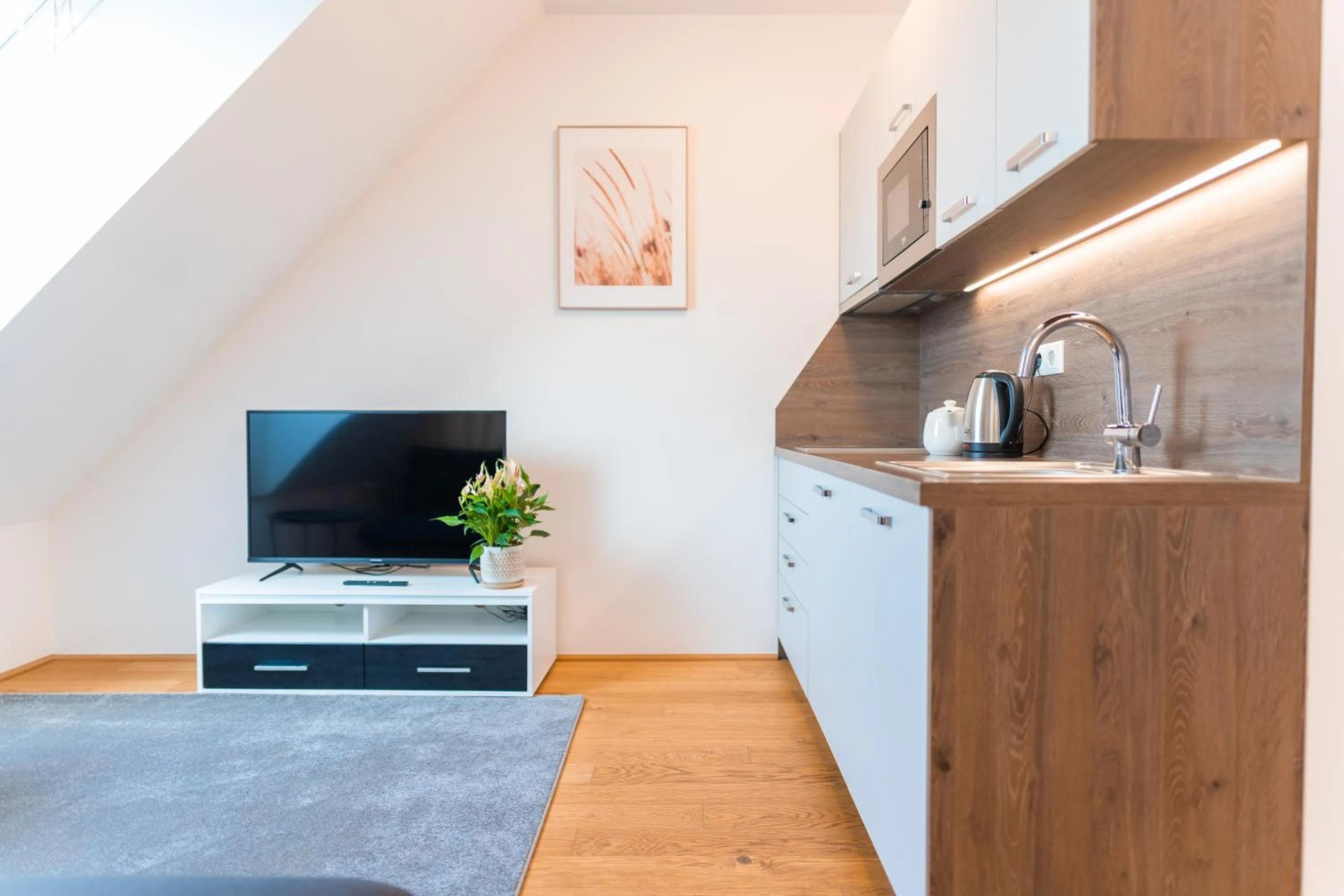 TV and multimedia in Hotel Triester