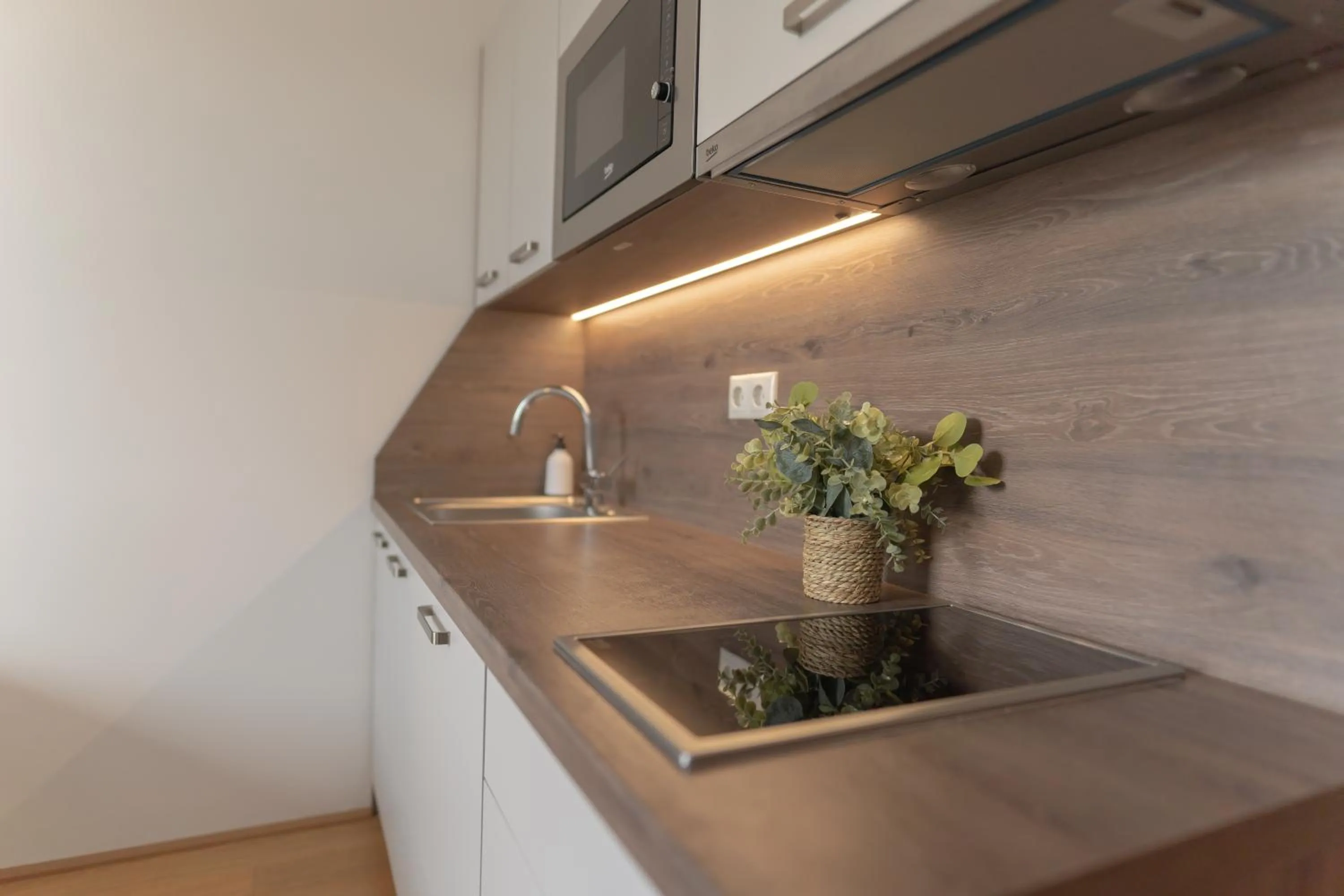 Kitchen or kitchenette in Hotel Triester