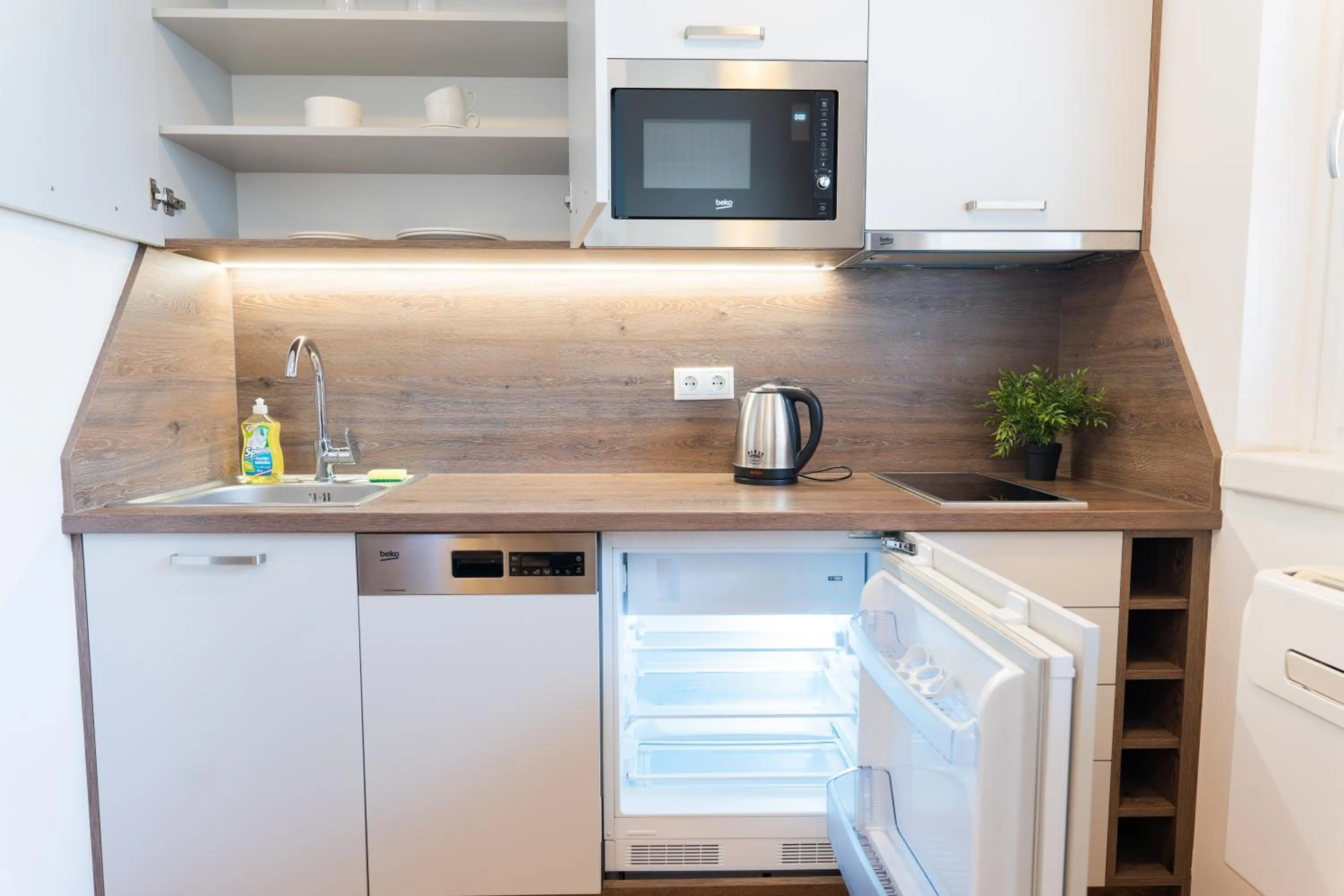 Kitchen or kitchenette in Hotel Triester