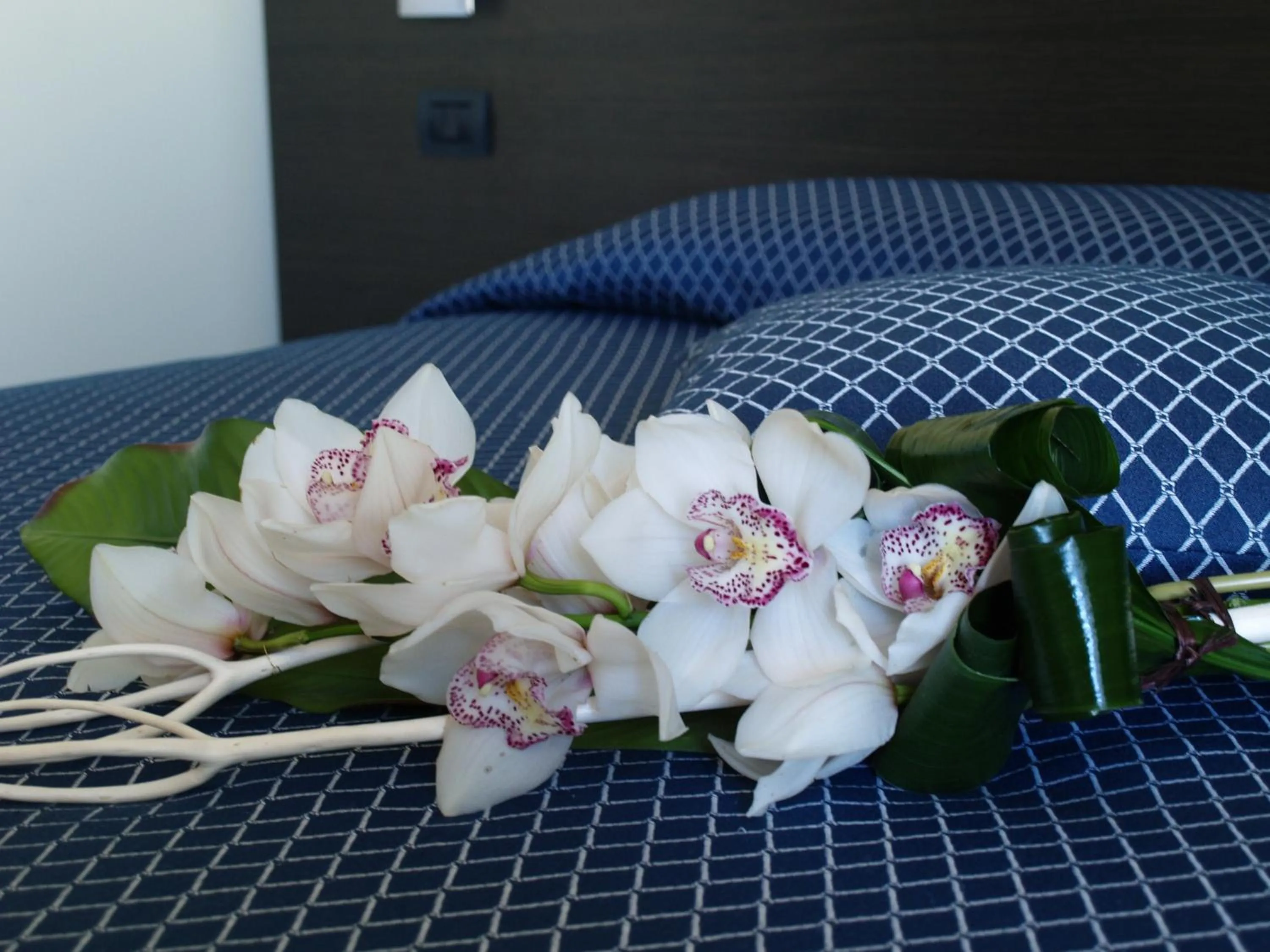 Decorative detail, Bed in Draconerium Hotel