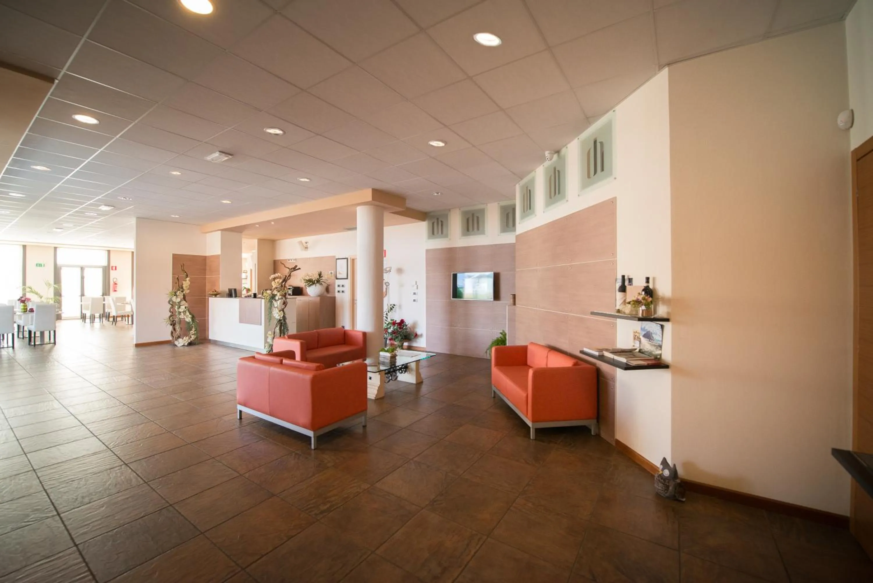 Communal lounge/ TV room in Draconerium Hotel