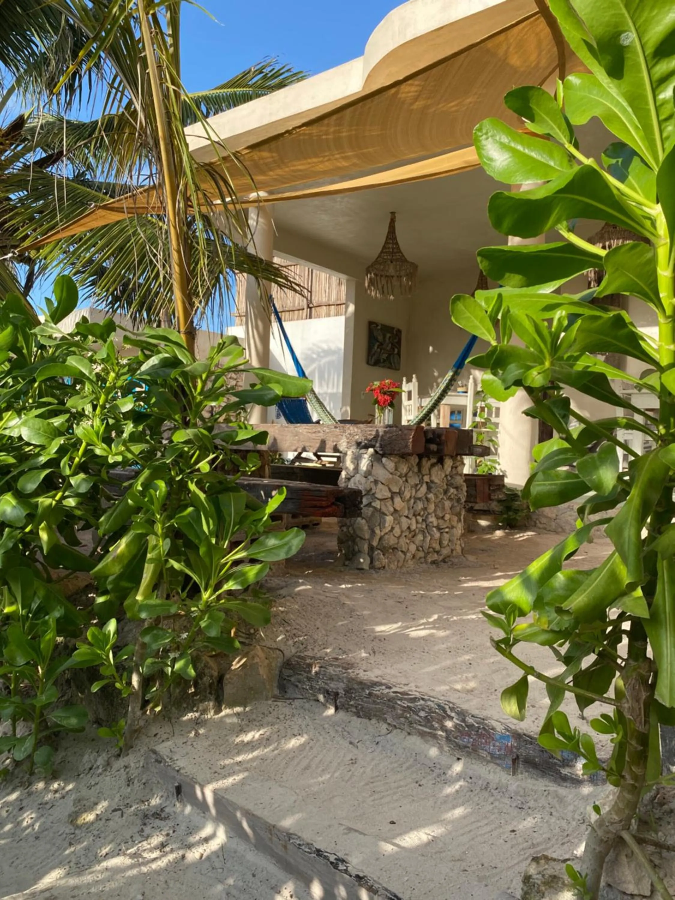 Garden in Casa Mia El Cuyo Eco Beach Boutique Hotel