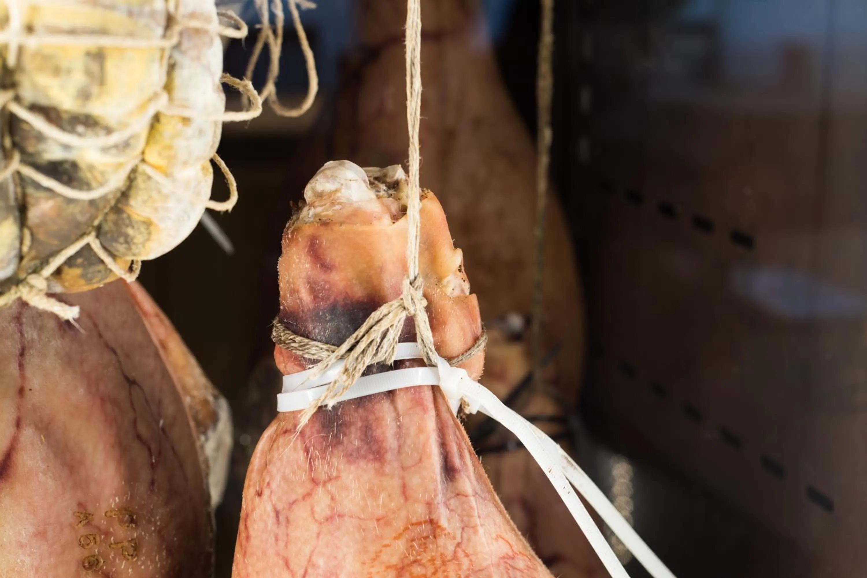 Restaurant/places to eat in Hotel Capital