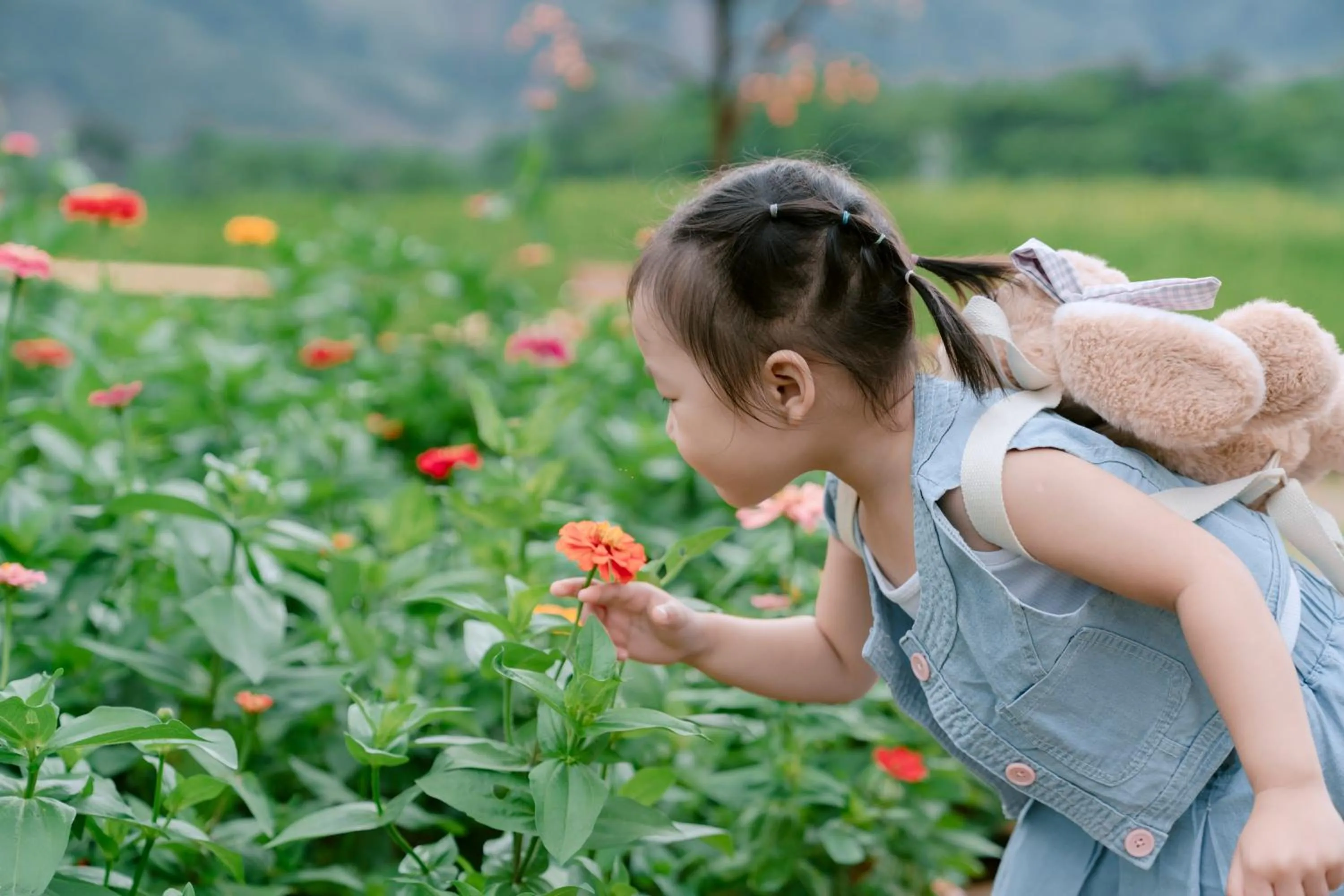 Garden in Pu Luong May Home & Cafe