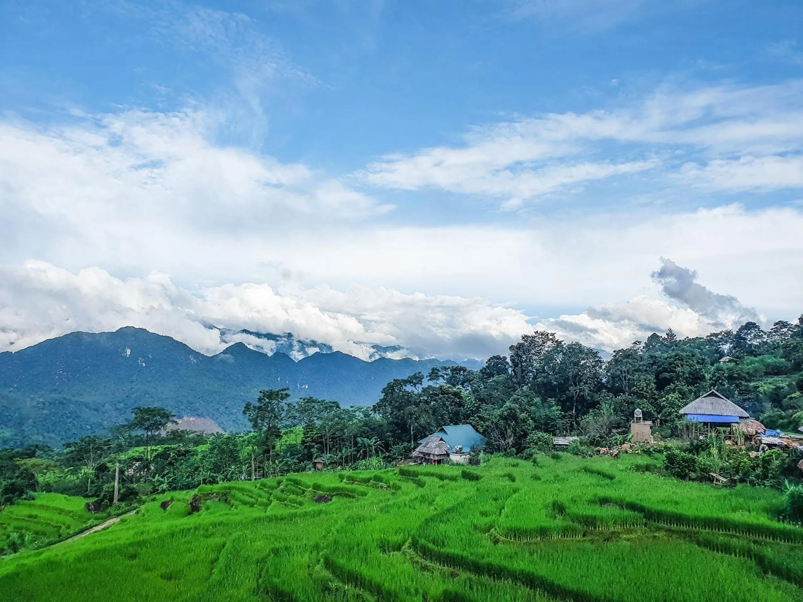 View (from property/room) in Pu Luong May Home & Cafe