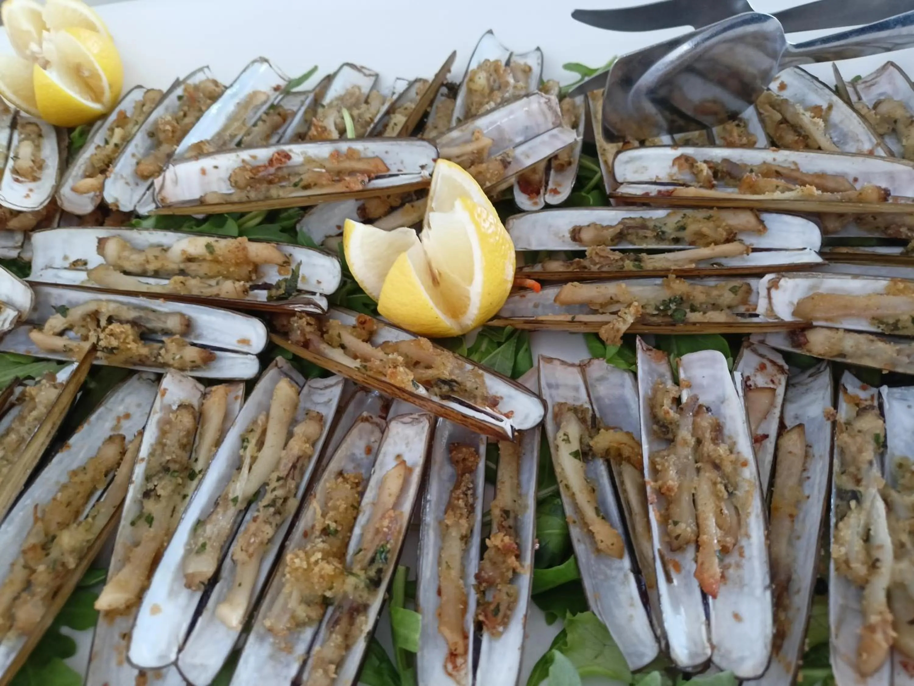 Restaurant/places to eat in Hotel Ascot Riccione