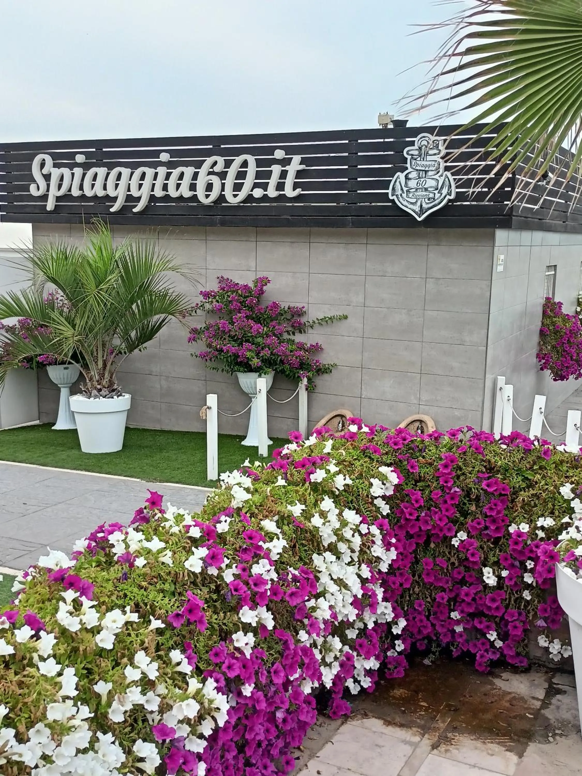 Beach in Hotel Ascot Riccione