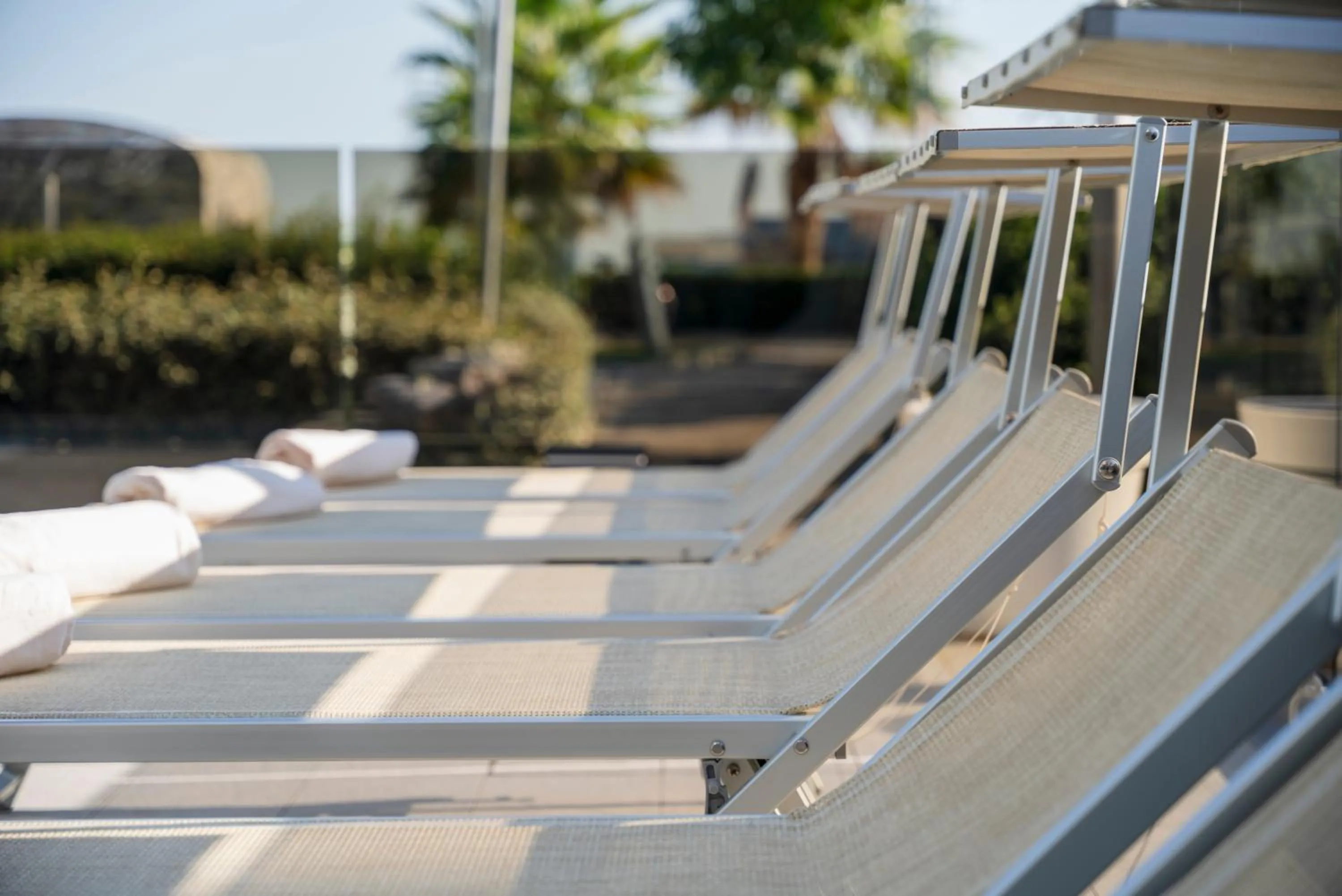 Balcony/Terrace in Hotel Ascot Riccione