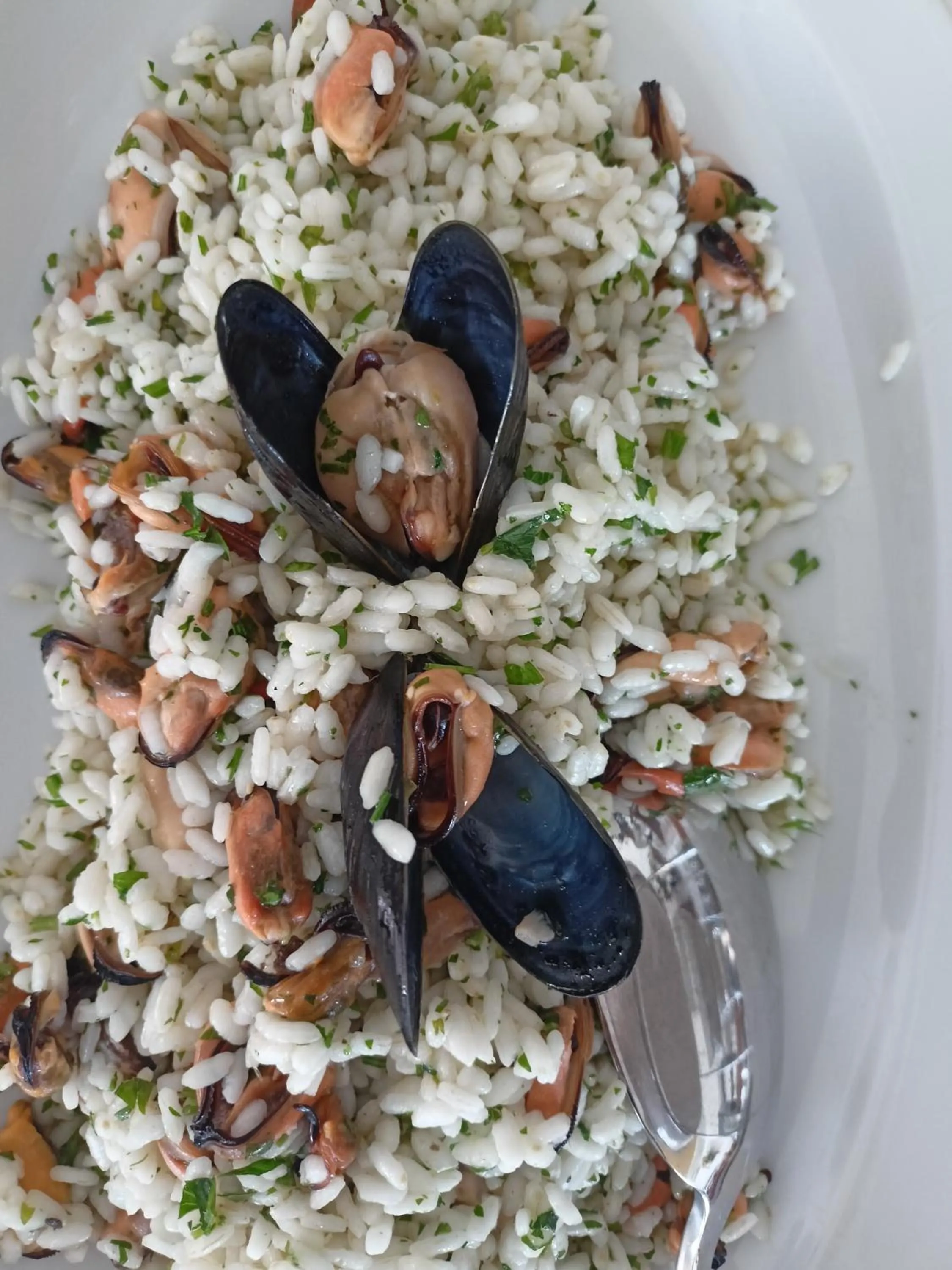 Restaurant/places to eat in Hotel Ascot Riccione