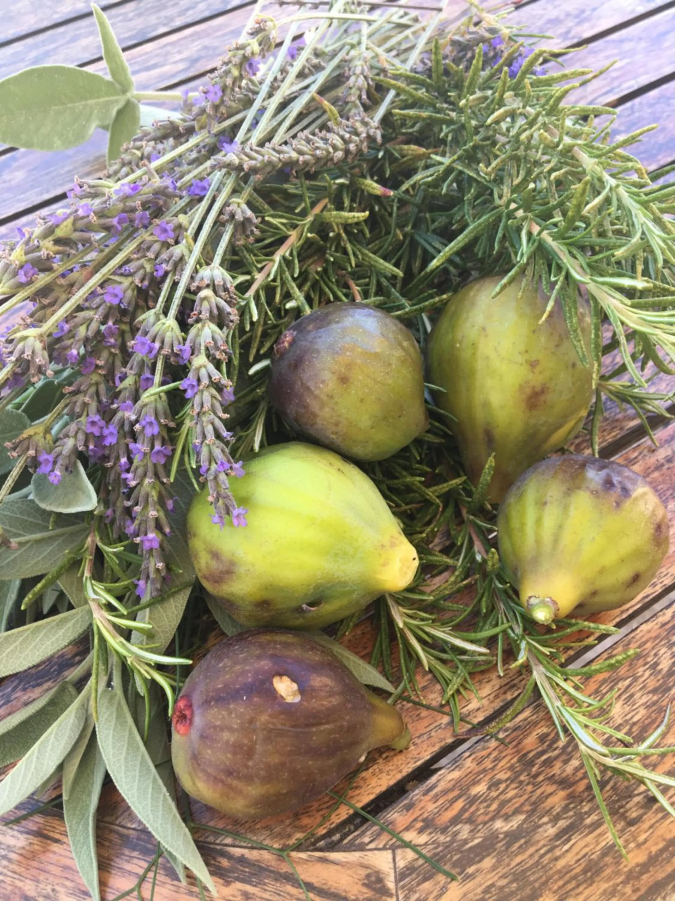 Garden in Agriturismo Villa Cefalà