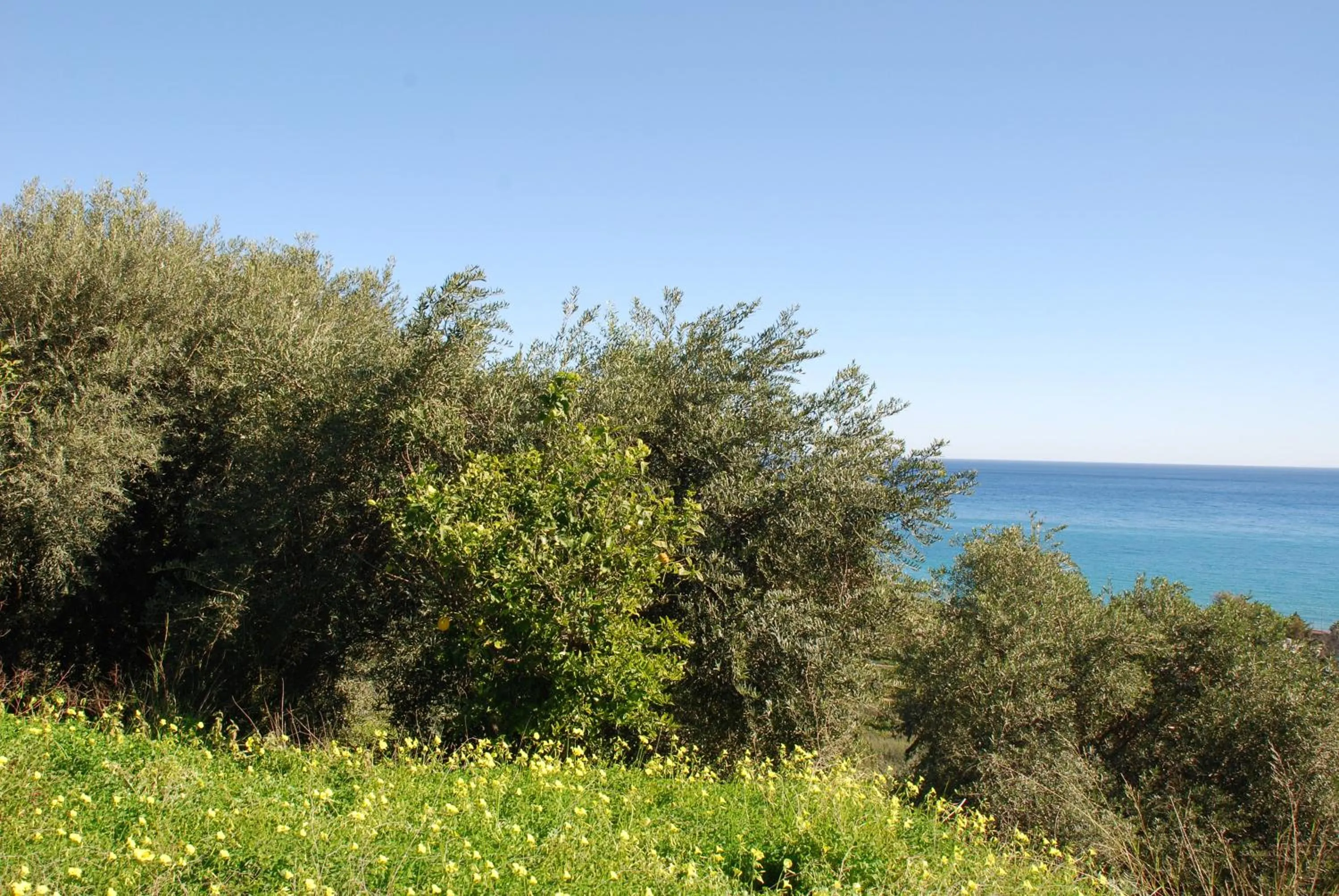 Garden in Agriturismo Villa Cefalà