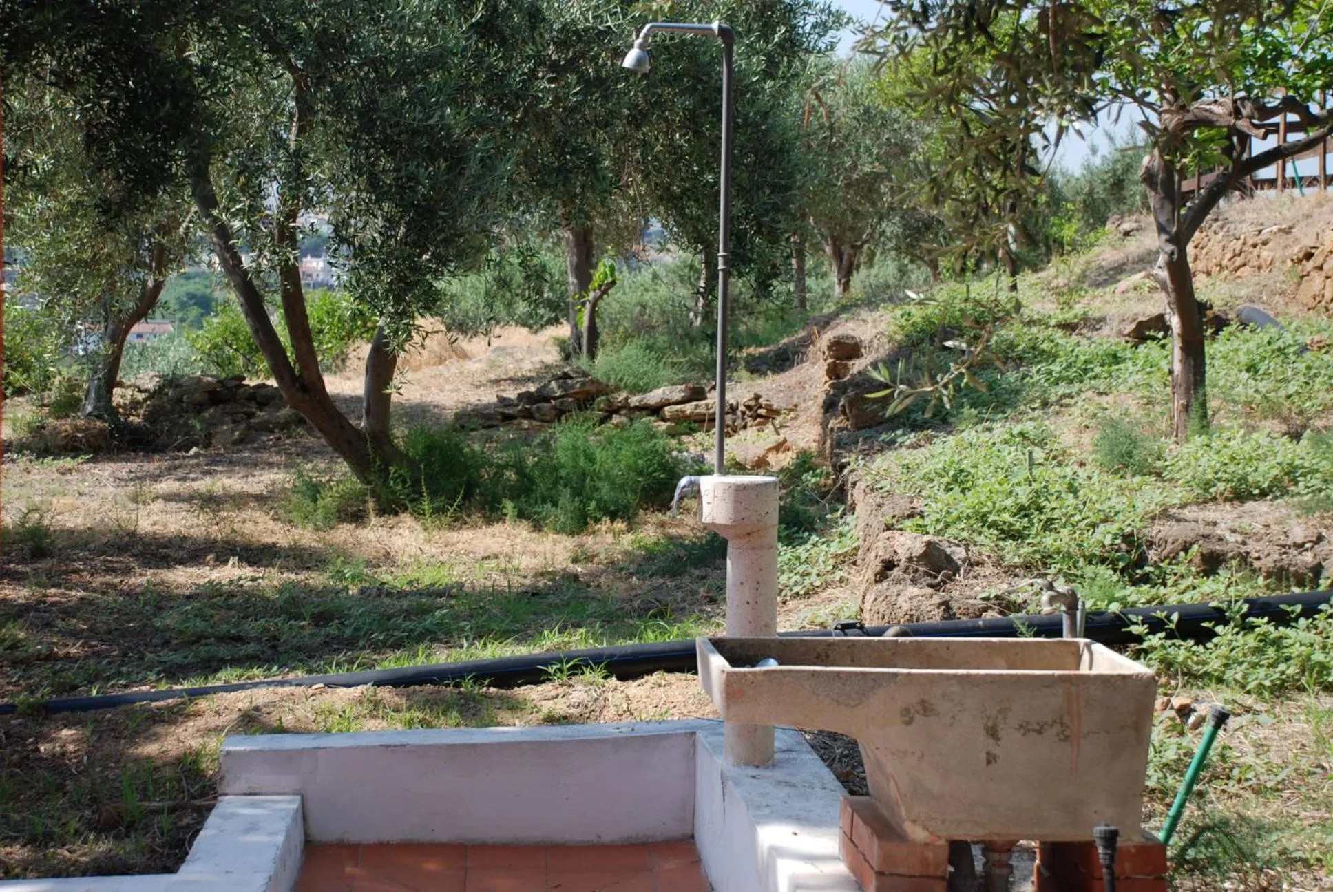 Garden in Agriturismo Villa Cefalà