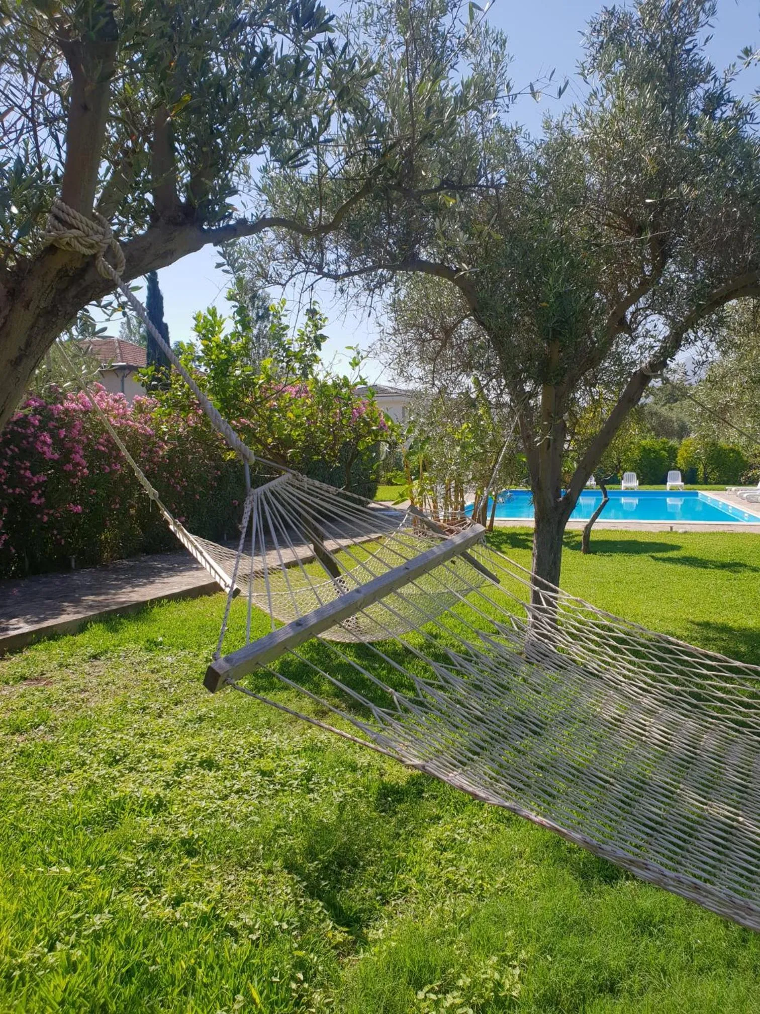 Pool view in Agriturismo Villa Cefalà
