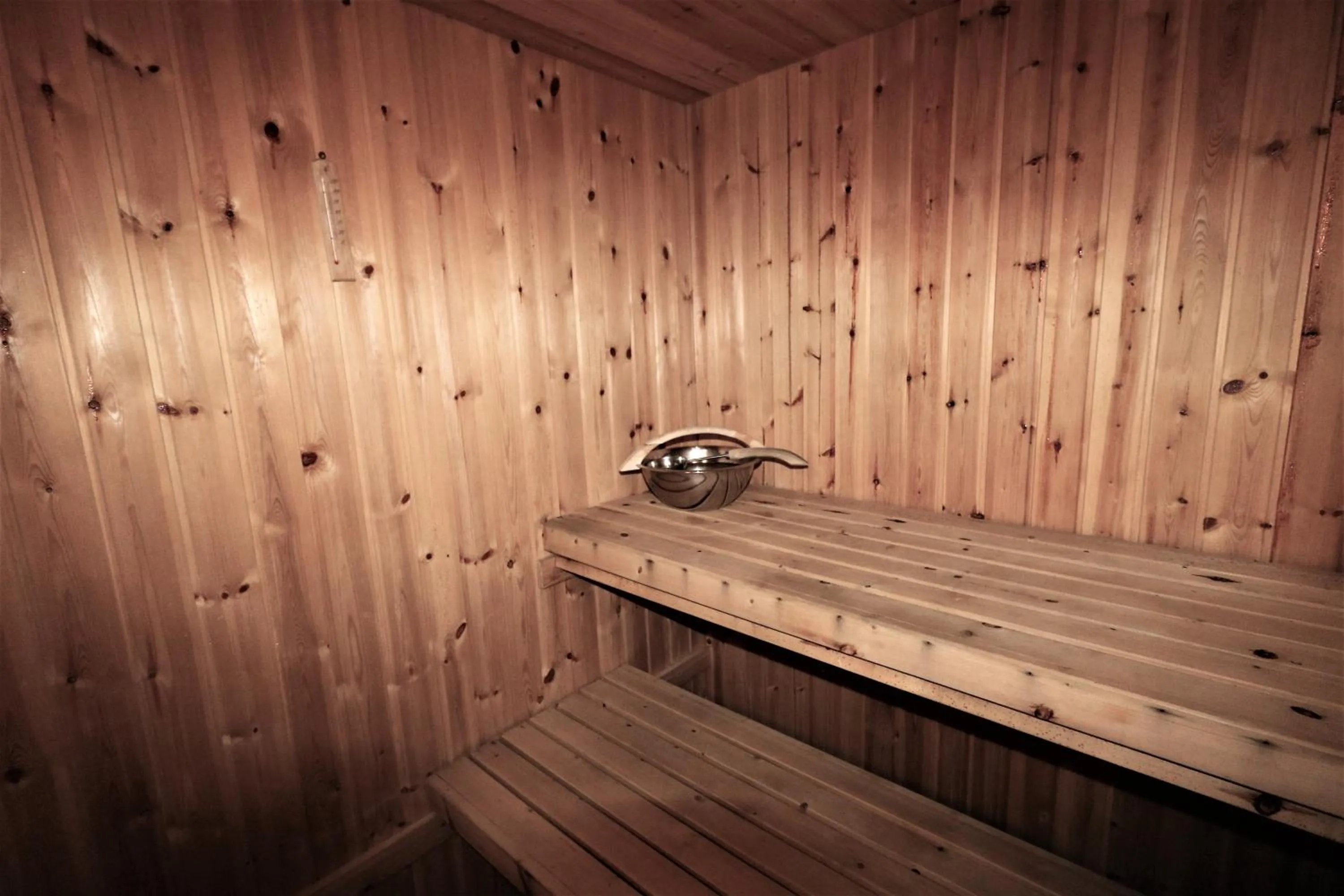 Sauna in RIBO Apartment Arctic