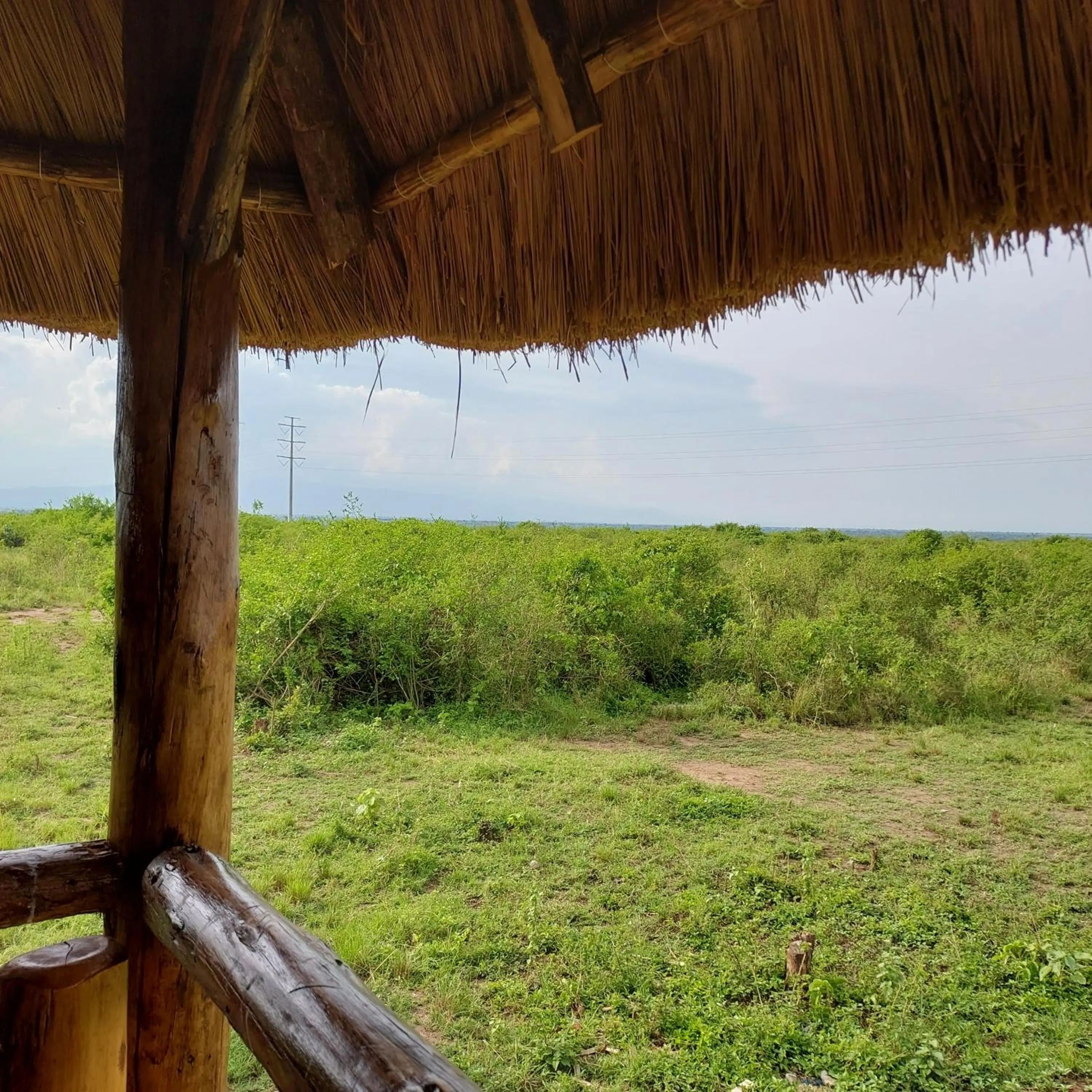 Natural landscape in Songbird Safari Lodge & Campsite