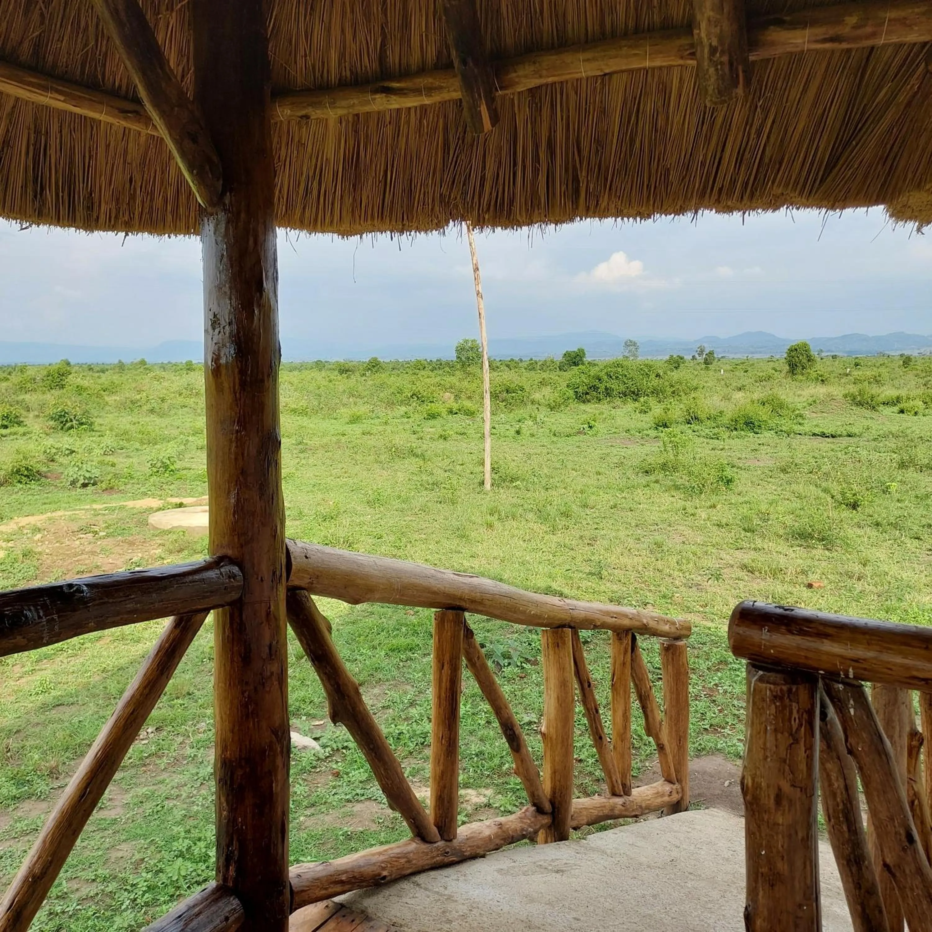 Garden view in Songbird Safari Lodge & Campsite