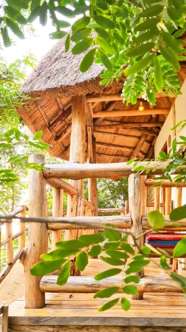 Day in Songbird Safari Lodge & Campsite