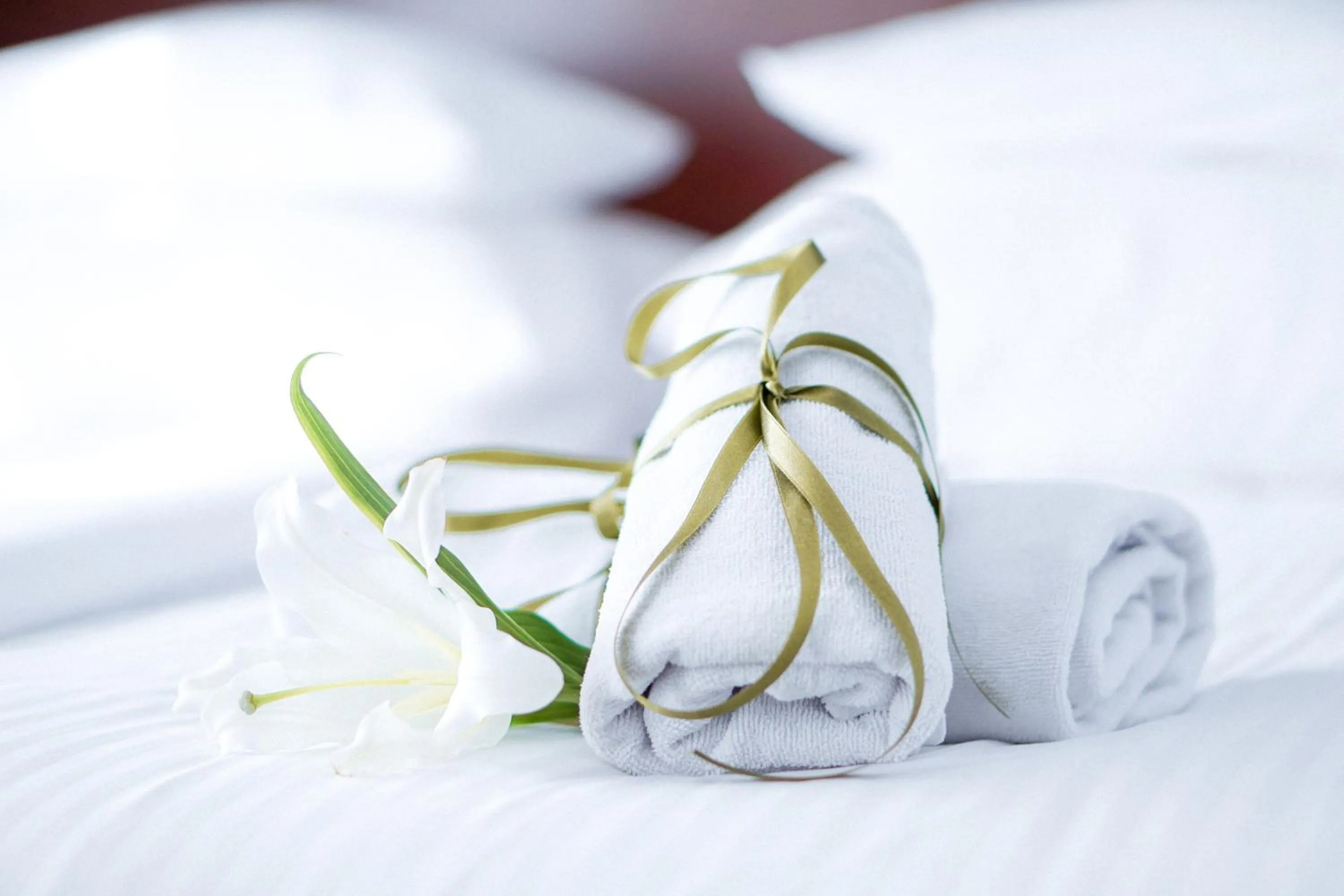 Bed in City Center Rooms Piotrkowska 91