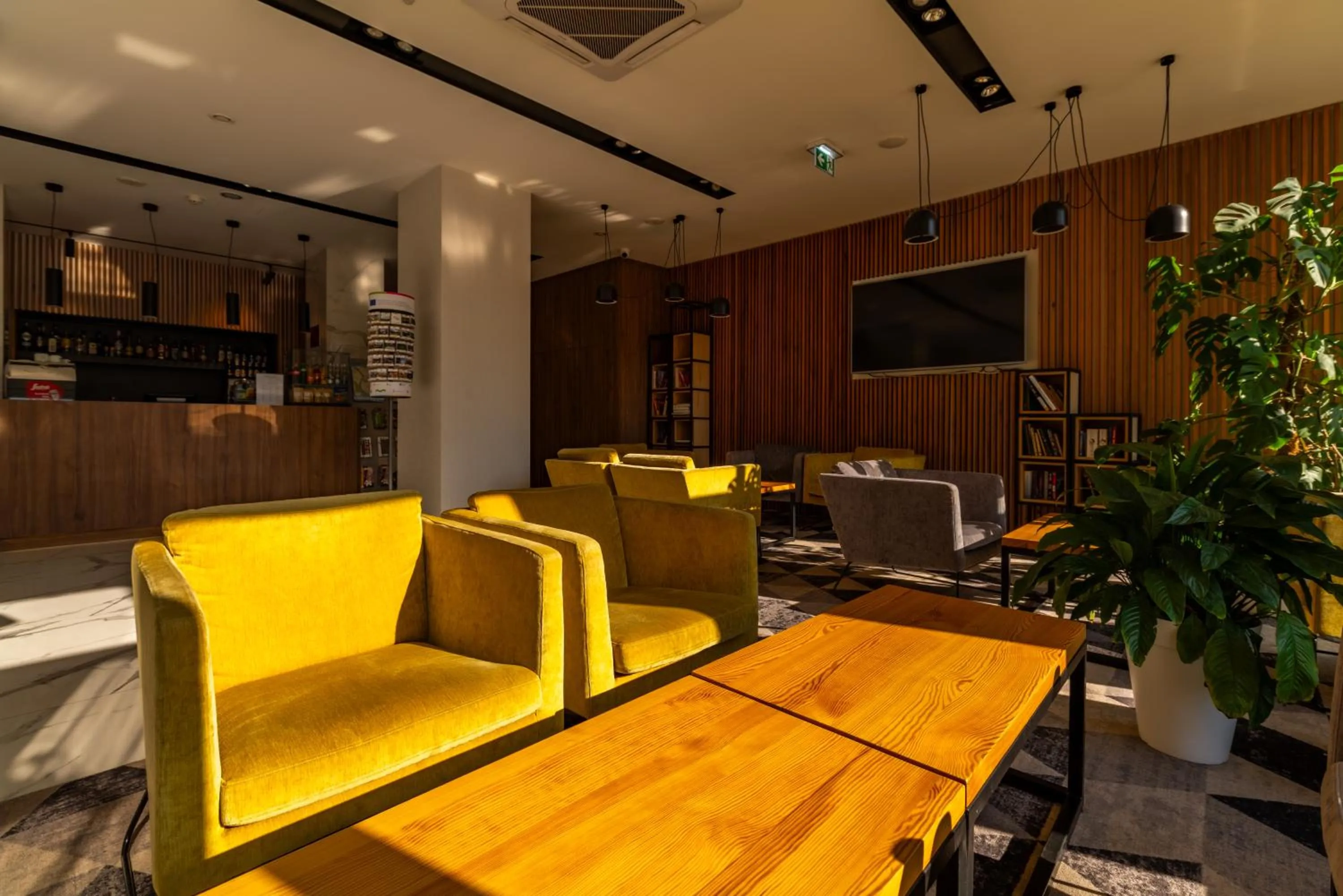 Evening entertainment in Mercure Opole