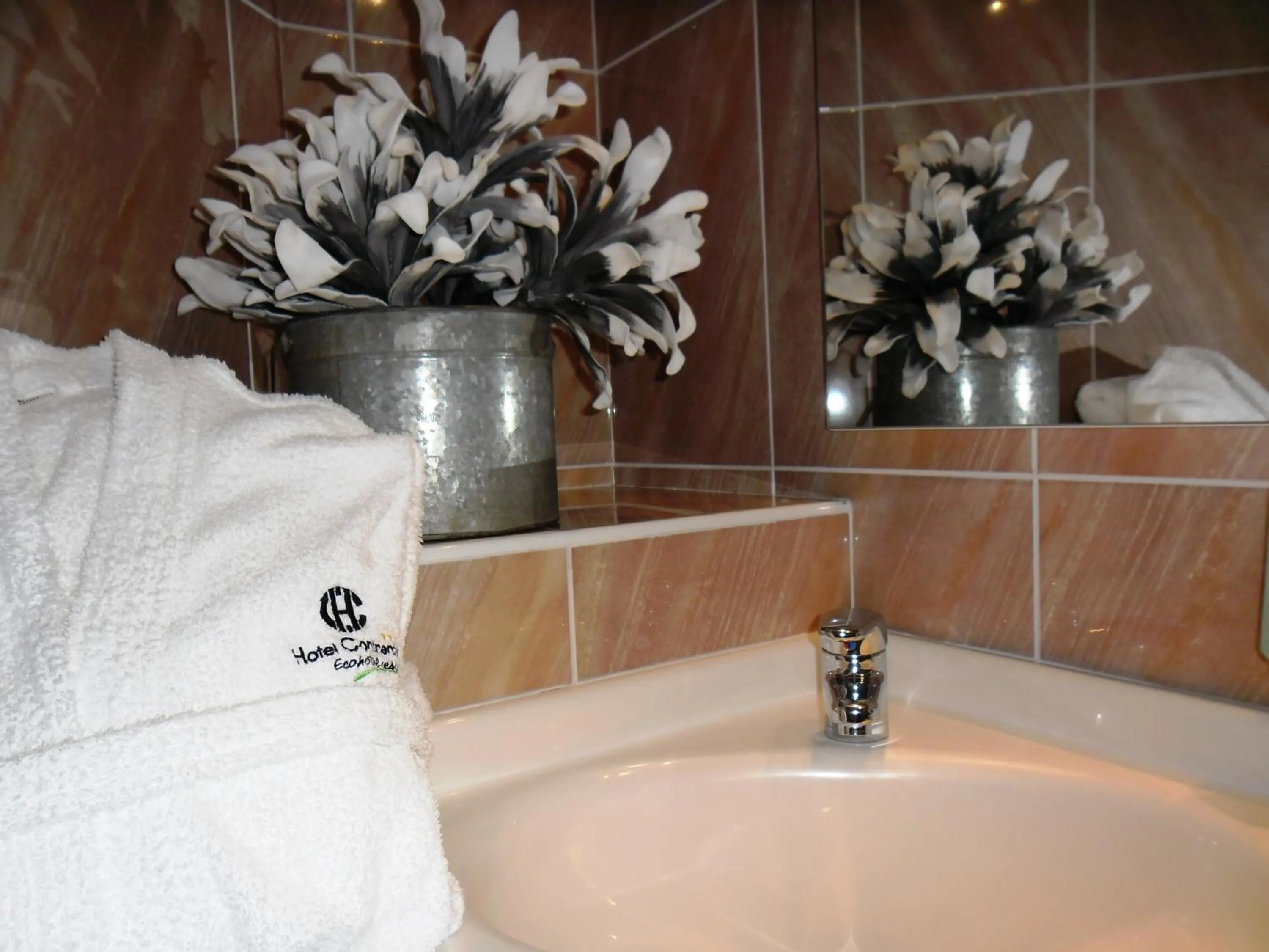 Bathroom in Continental Urban Art Hotel