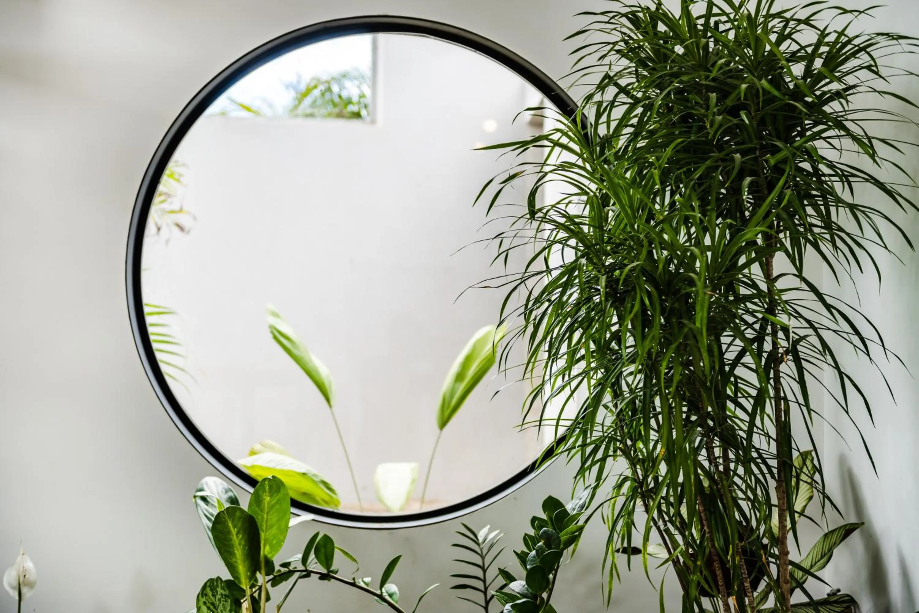 Garden in mVillas Luxury Villas with Beach Club Access & Sauna